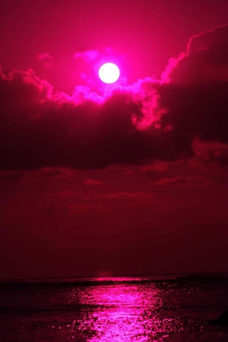 粉紅太陽映照海洋 壁紙