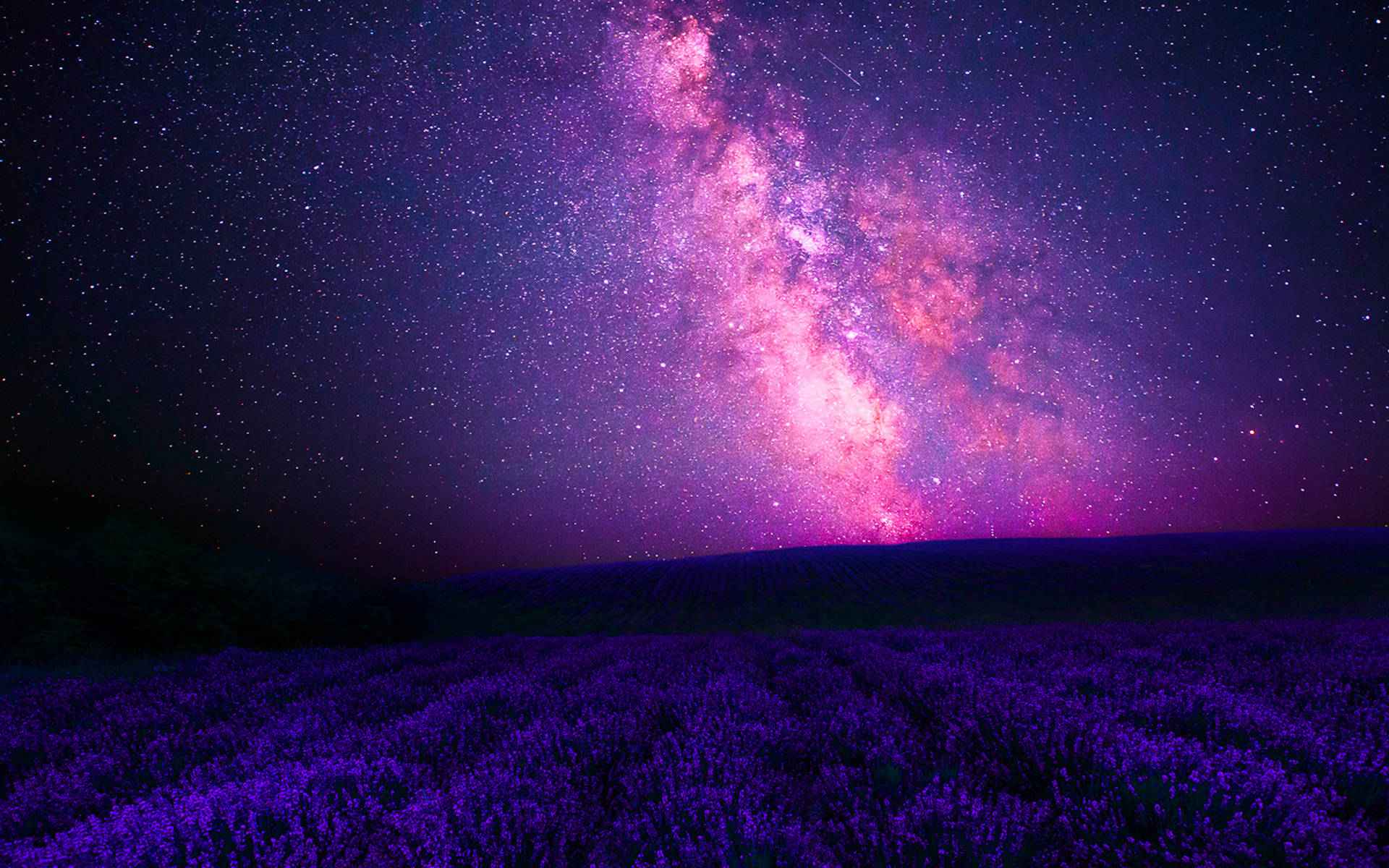 粉紅星系籠罩鄉間 壁紙 — 令人驚嘆的夜空，充滿了充滿活力的粉紅色和紫色銀河拱門，橫跨一片廣闊的發光紫色薰衣草田。