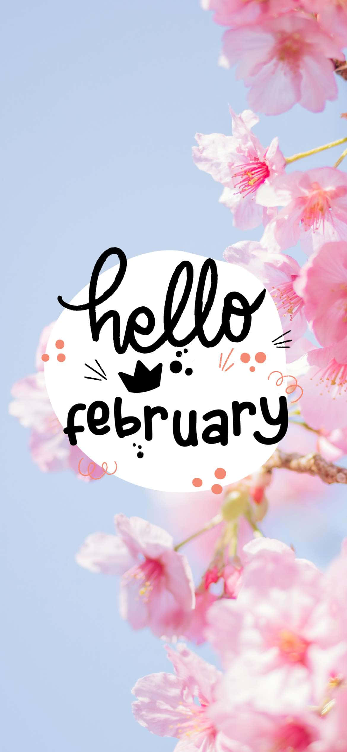 二月 桌布 壁紙 — 粉紅櫻花圍繞著一個白色圓圈，上面有「hello february」文字，背景是柔和的藍天。