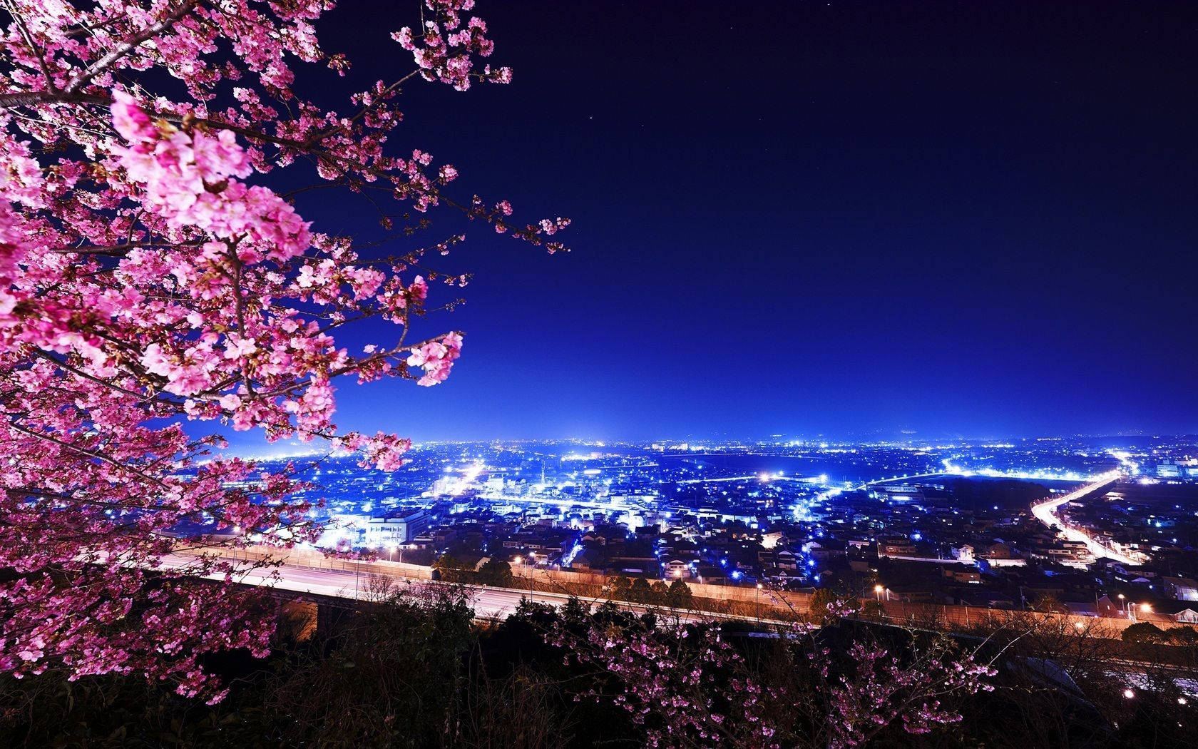 夜晚 桌布 壁紙 — 粉紅櫻花框住喺深藍夜空下閃爍嘅廣闊城市景觀。