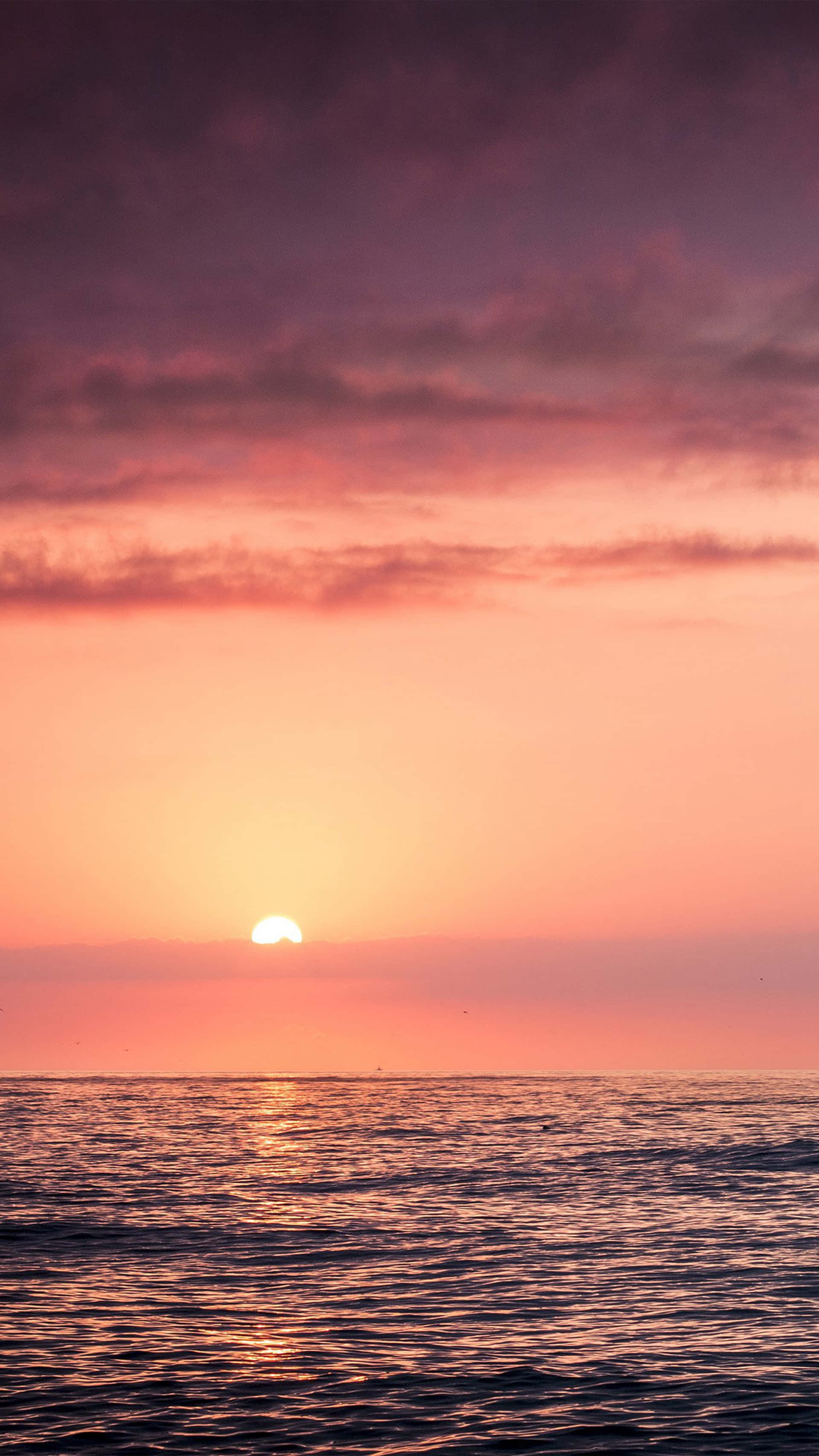 粉紅海灘日落與烏雲密布 壁紙 — 平靜海面上夕陽西下，散發光芒的太陽與充滿活力的粉橙色天空。