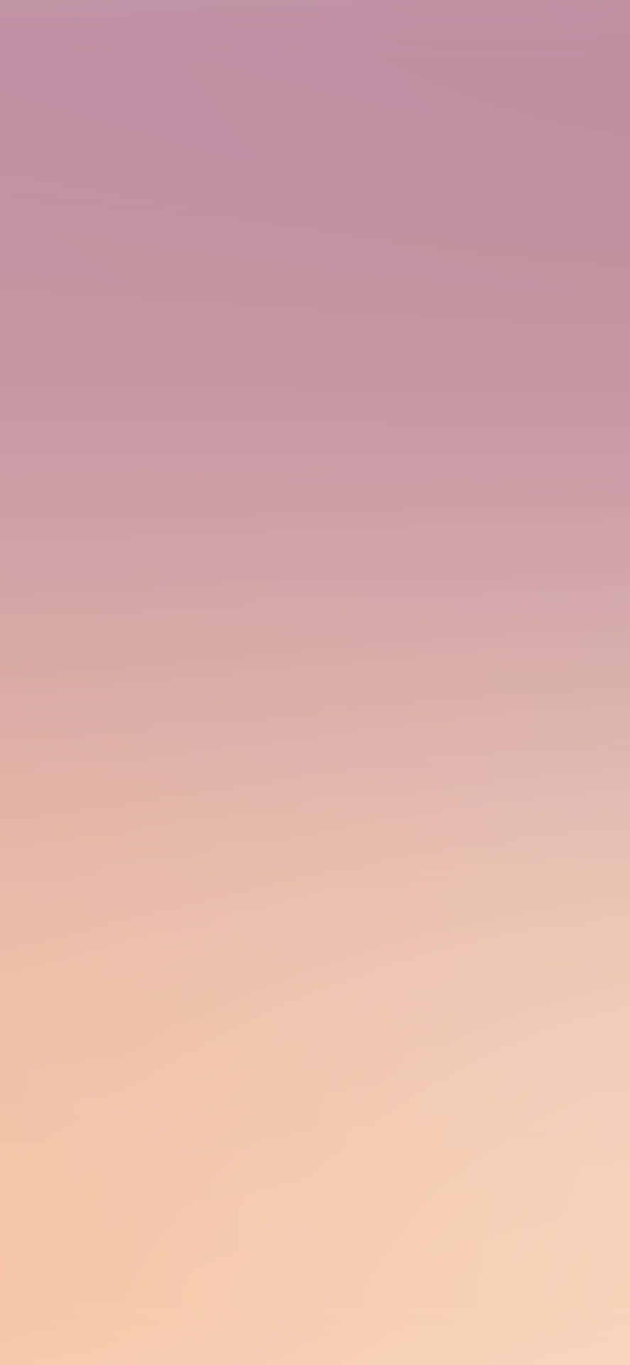 柔和漸變背景，融合紫紅色和蜜桃色調。