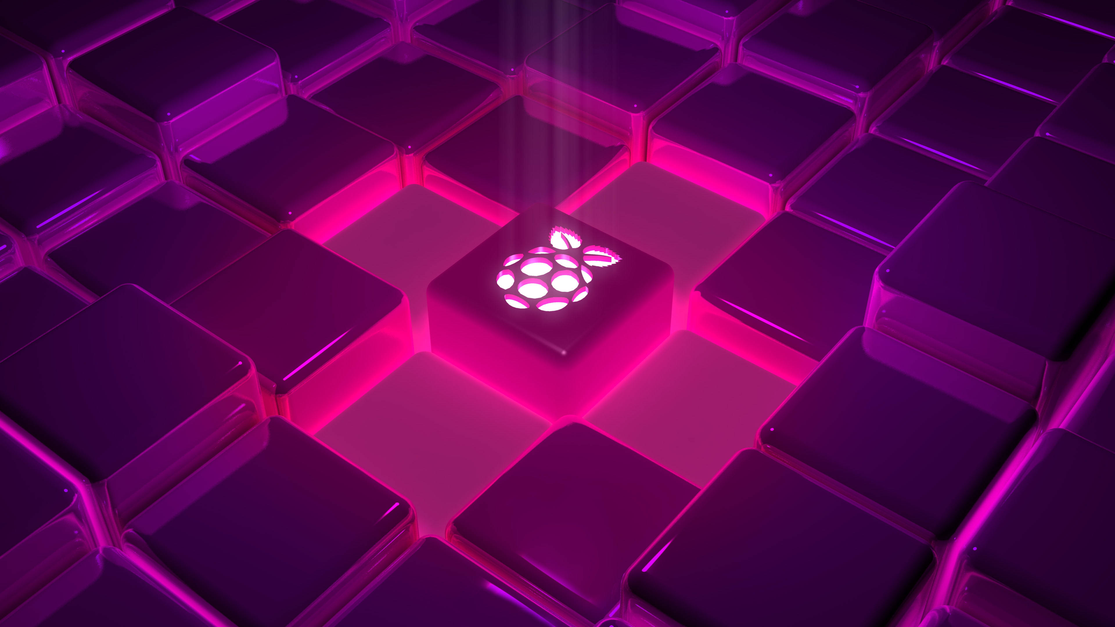 粉紅漿果閃耀抽象藝術 壁紙 — 一個發光的 raspberry pi 標誌，位於紫色和粉紅色發光立方體網格的中心，帶有輻射光束。