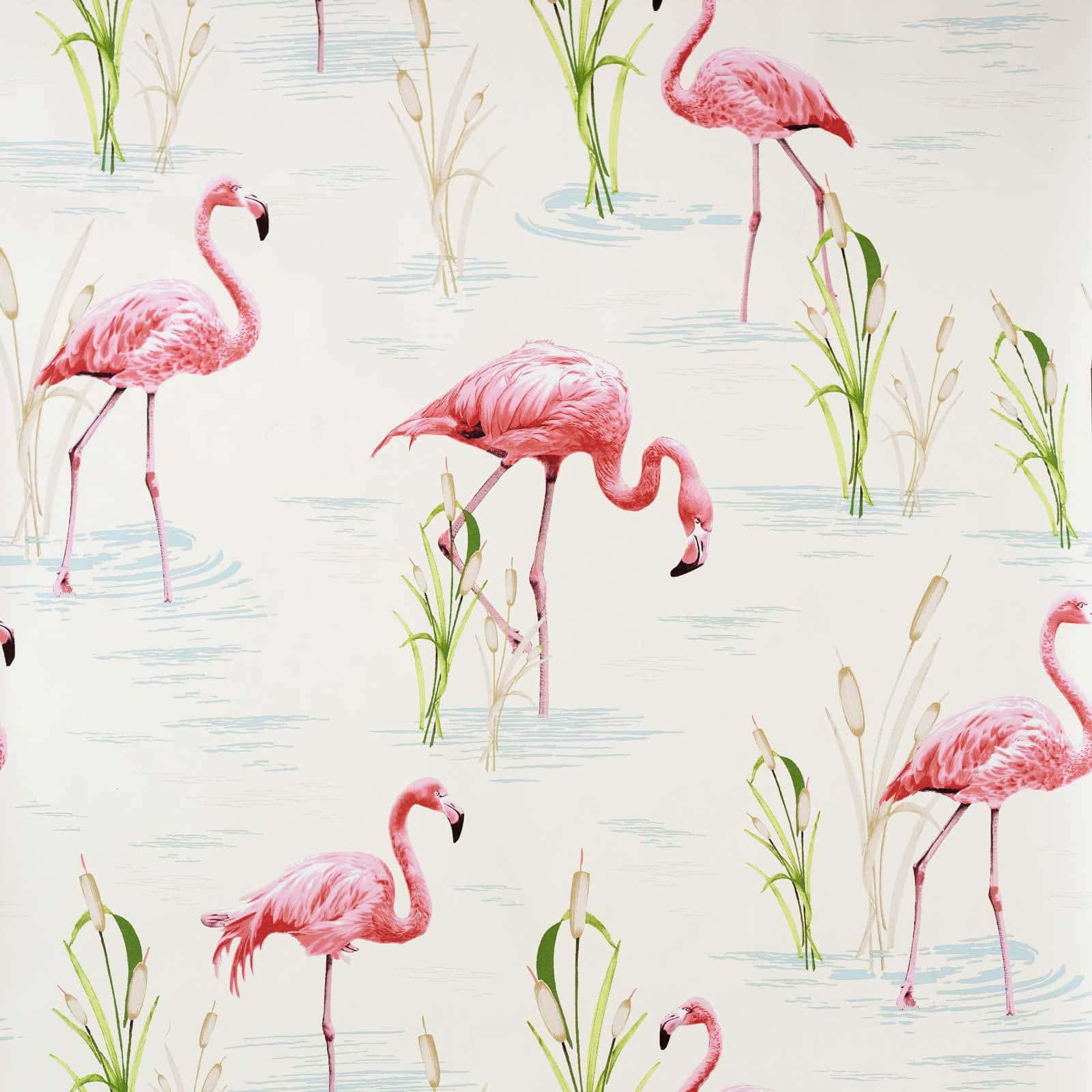 Pink Flamingos 桌布 壁紙 — 粉紅火烈鳥在綠色蘆葦間的淺水中涉水，形成重複的牆紙圖案。