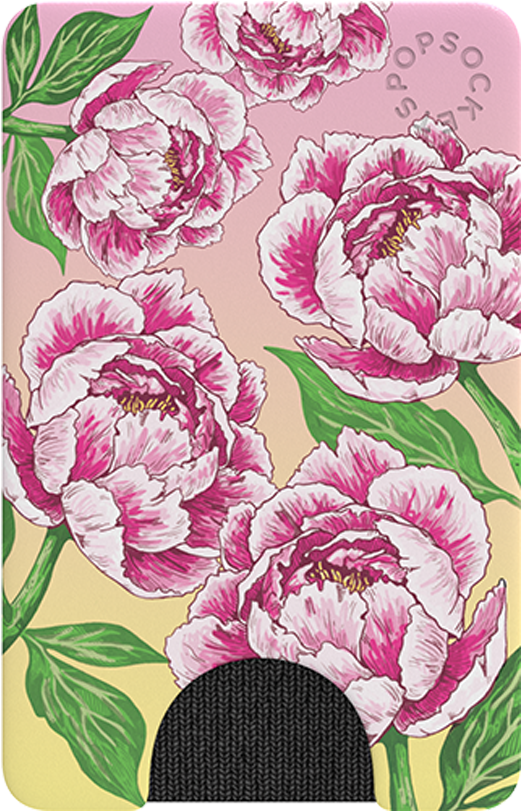 粉紅牡丹插畫 壁紙 — 鮮豔的粉紅色牡丹花搭配綠色葉子，在柔和的漸變背景上以風格化插圖綻放。