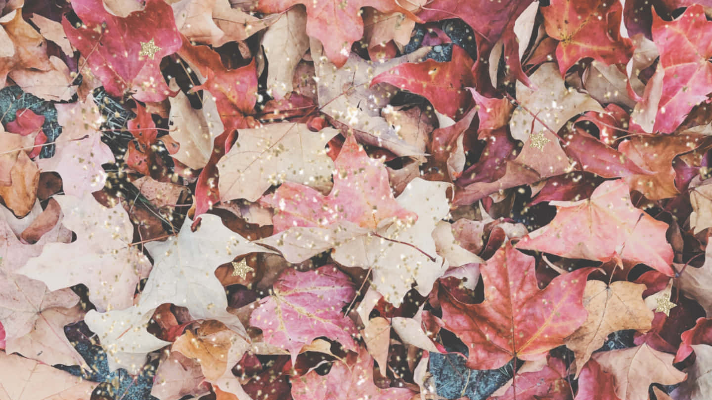紅色、粉紅色和棕色的秋葉，帶有金色閃閃發光的亮片。