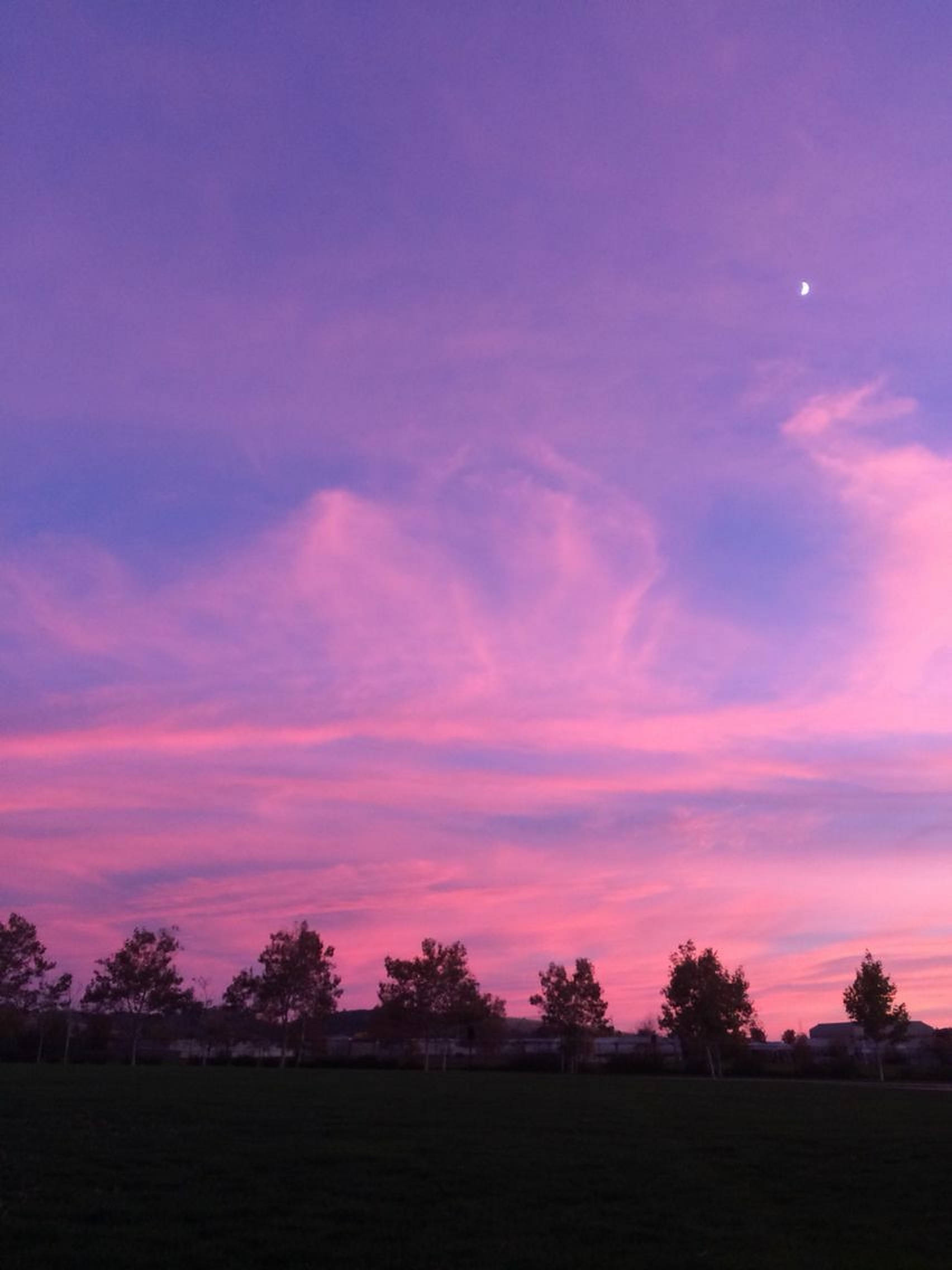 粉紅美學夕陽天空 壁紙 — 充滿活力的紫色和粉紅色日落天空，新月懸掛在剪影樹木和黑暗田野之上。