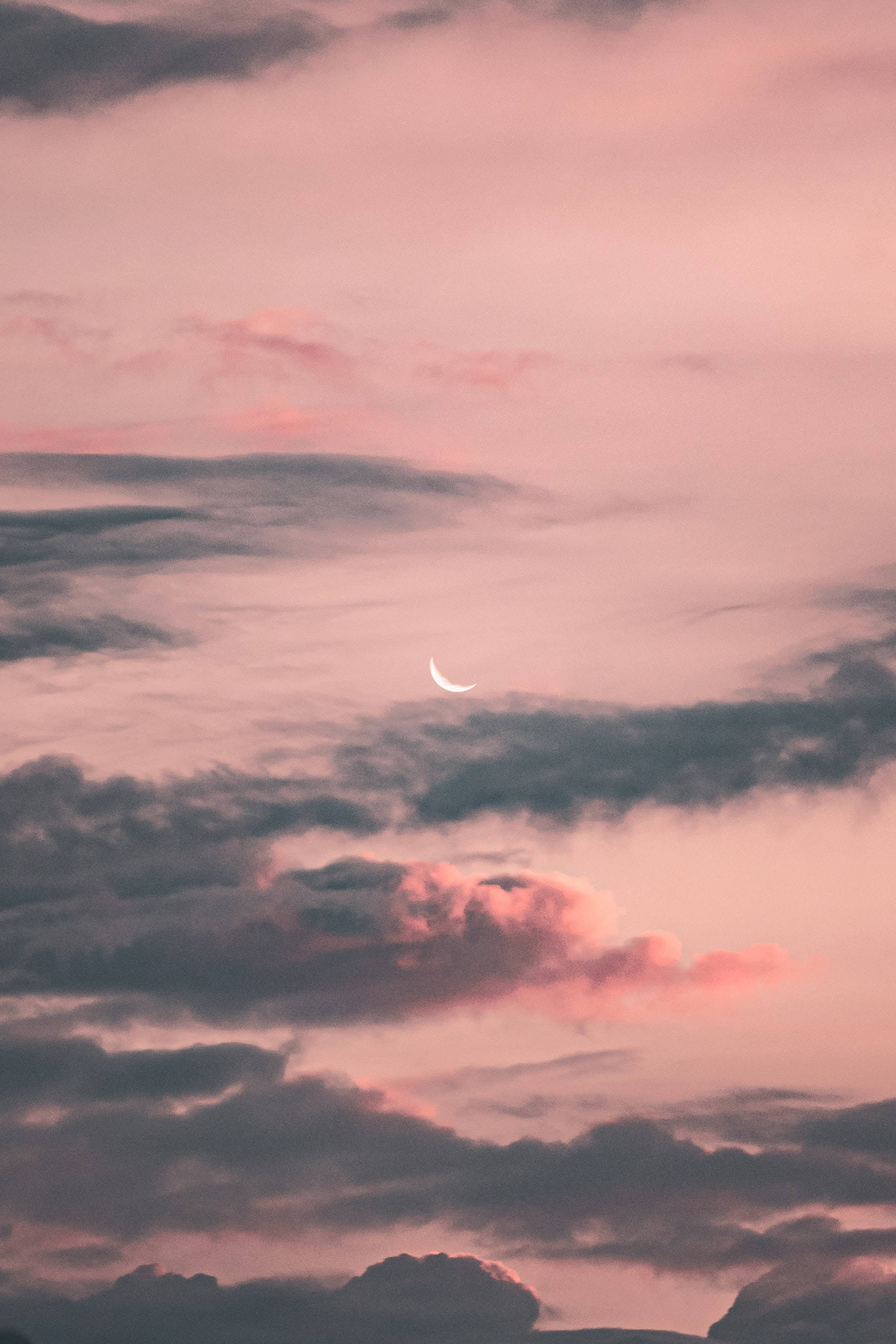 粉紅背景月夜天空 壁紙 — 一彎精緻的月牙在粉彩粉紅與灰色的暮色天空中，伴隨著縷縷薄雲，柔和地閃耀。