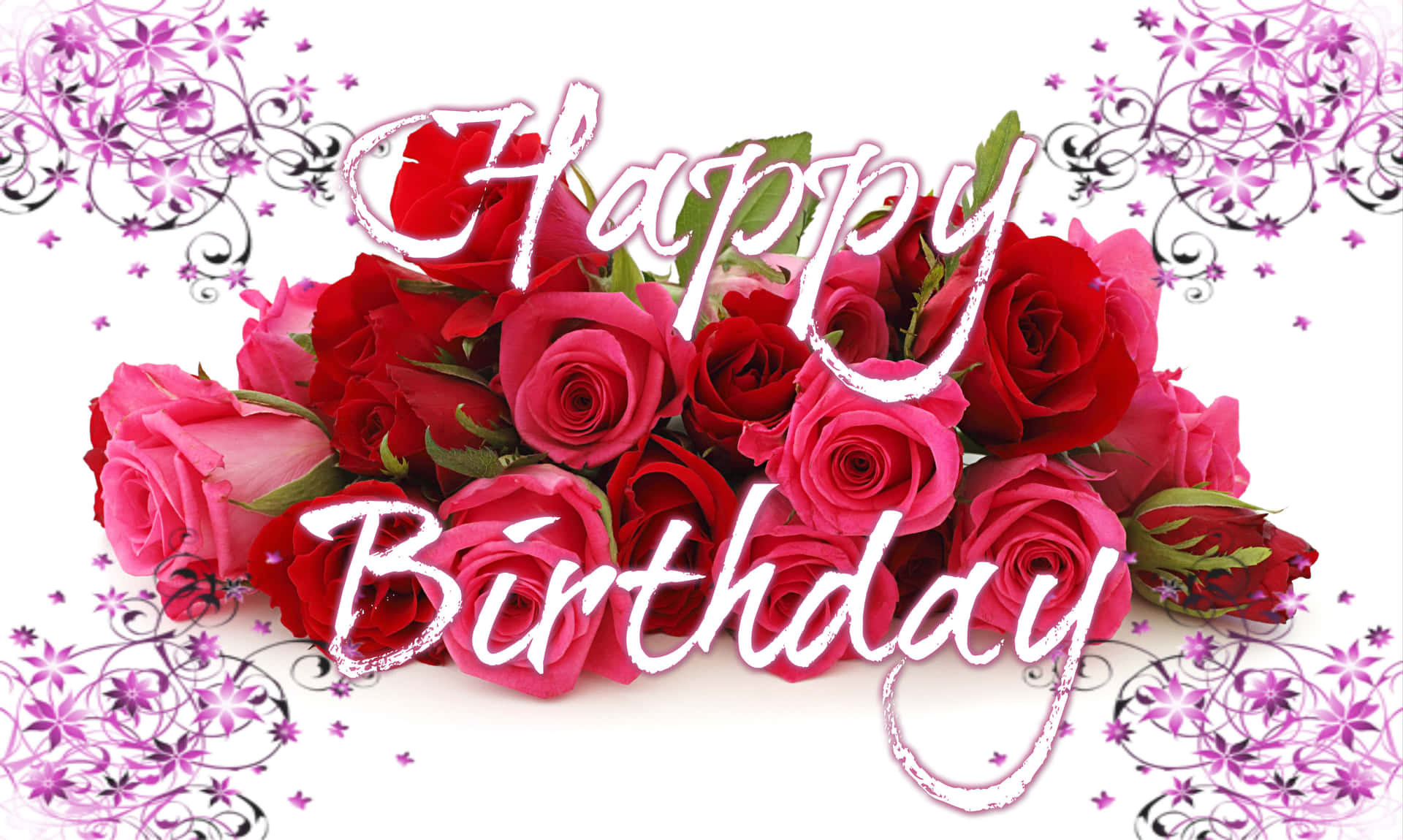 Happy Birthday 祝福，配有紅粉玫瑰和紫色花卉邊框。