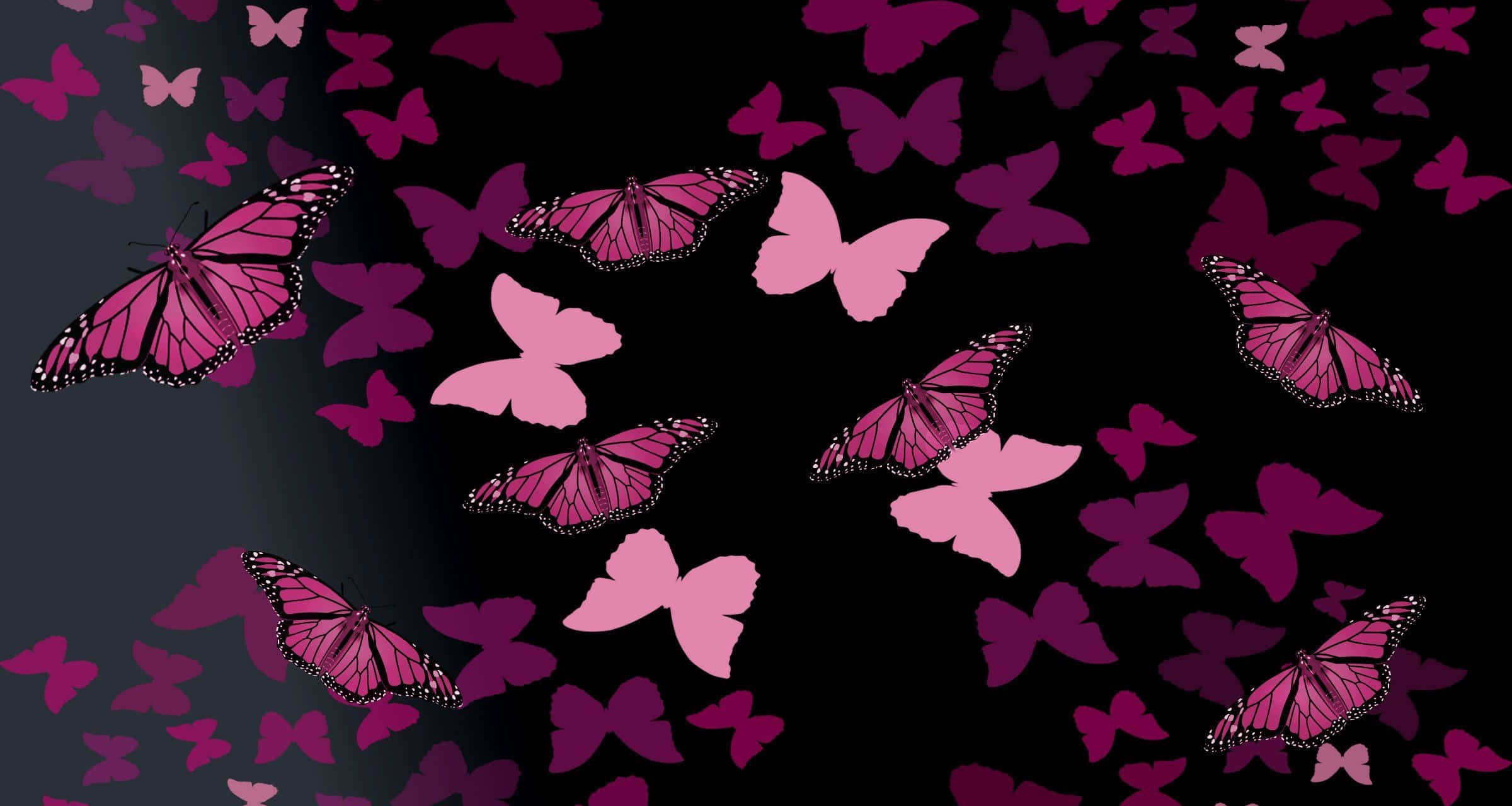 Dark Butterfly 桌布 壁紙 — 粉紅色和紫色的蝴蝶在深色漸變背景上以充滿活力的數碼圖案飛舞。