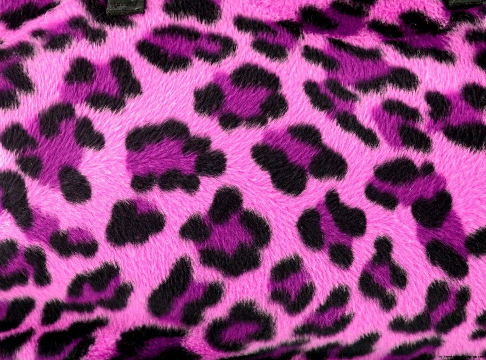 Animal Print 桌布 壁紙 — 粉紅色和紫色豹紋絨面布料特寫，帶有柔軟的黑色斑點。