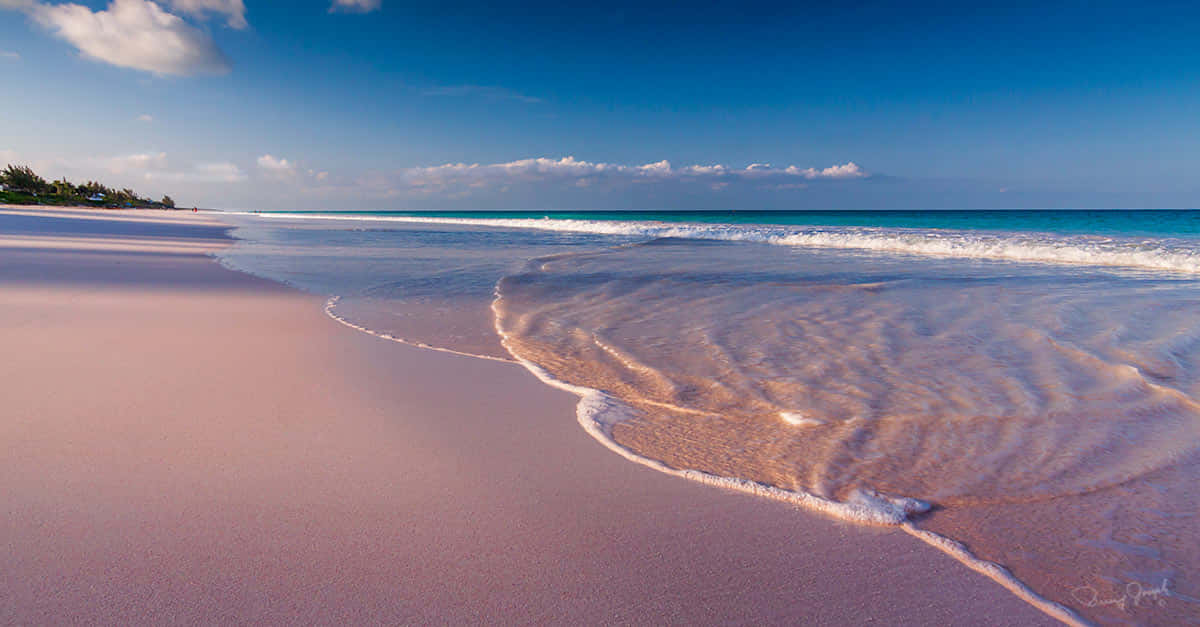 Bahamas Island 桌布 壁紙 — 粉紅色沙灘，溫柔海浪拍打岸邊，天空湛藍清澈，白雲點綴。
