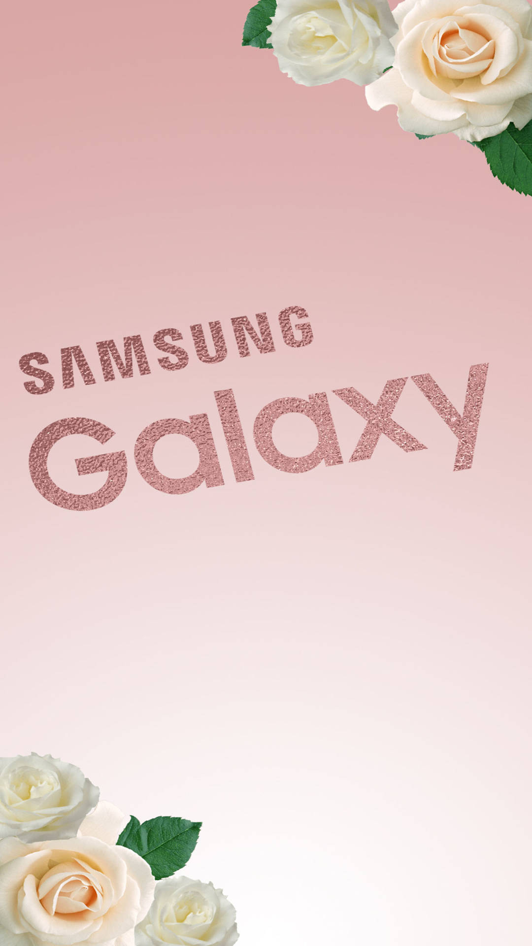 粉紅色漸變背景上的Samsung Galaxy標誌與白玫瑰 — 玫瑰金 壁紙
