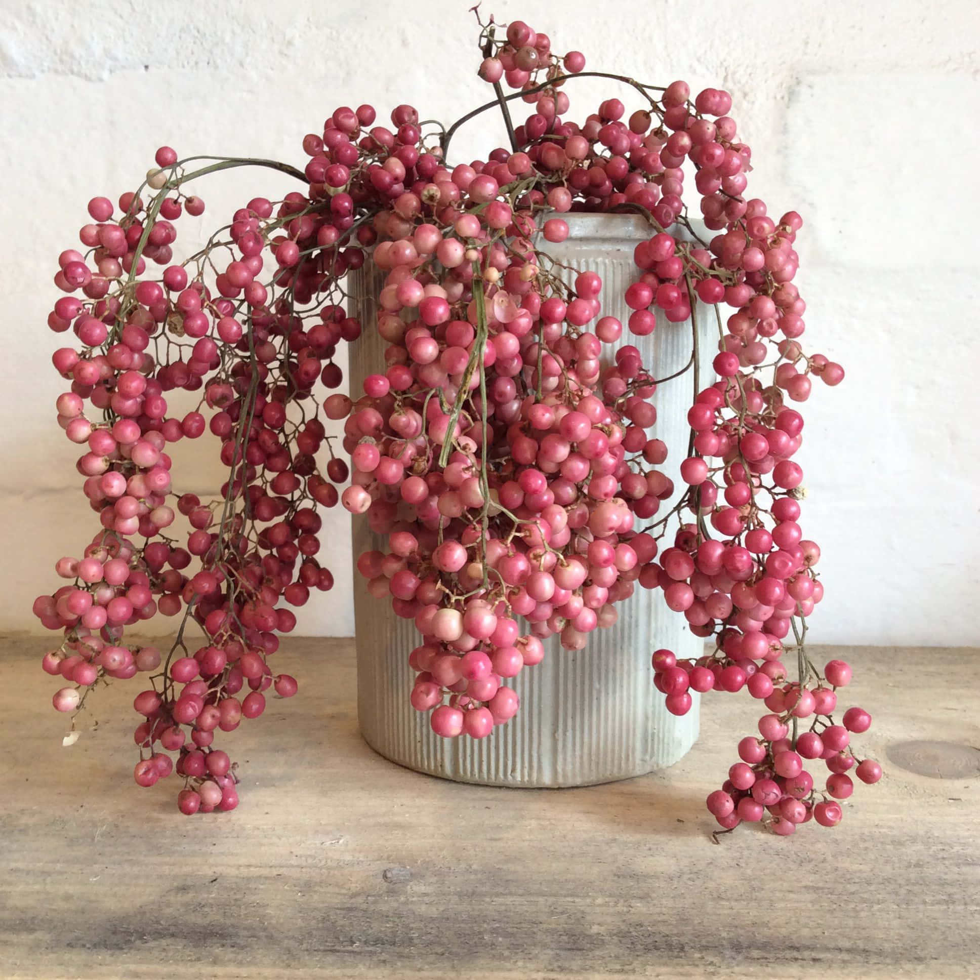 Pink Peppercorn 桌布 壁紙 — 粉紅色漿果從一個有棱紋的陶瓷花瓶傾瀉而出，花瓶放在木質表面上，背景是白色牆壁。
