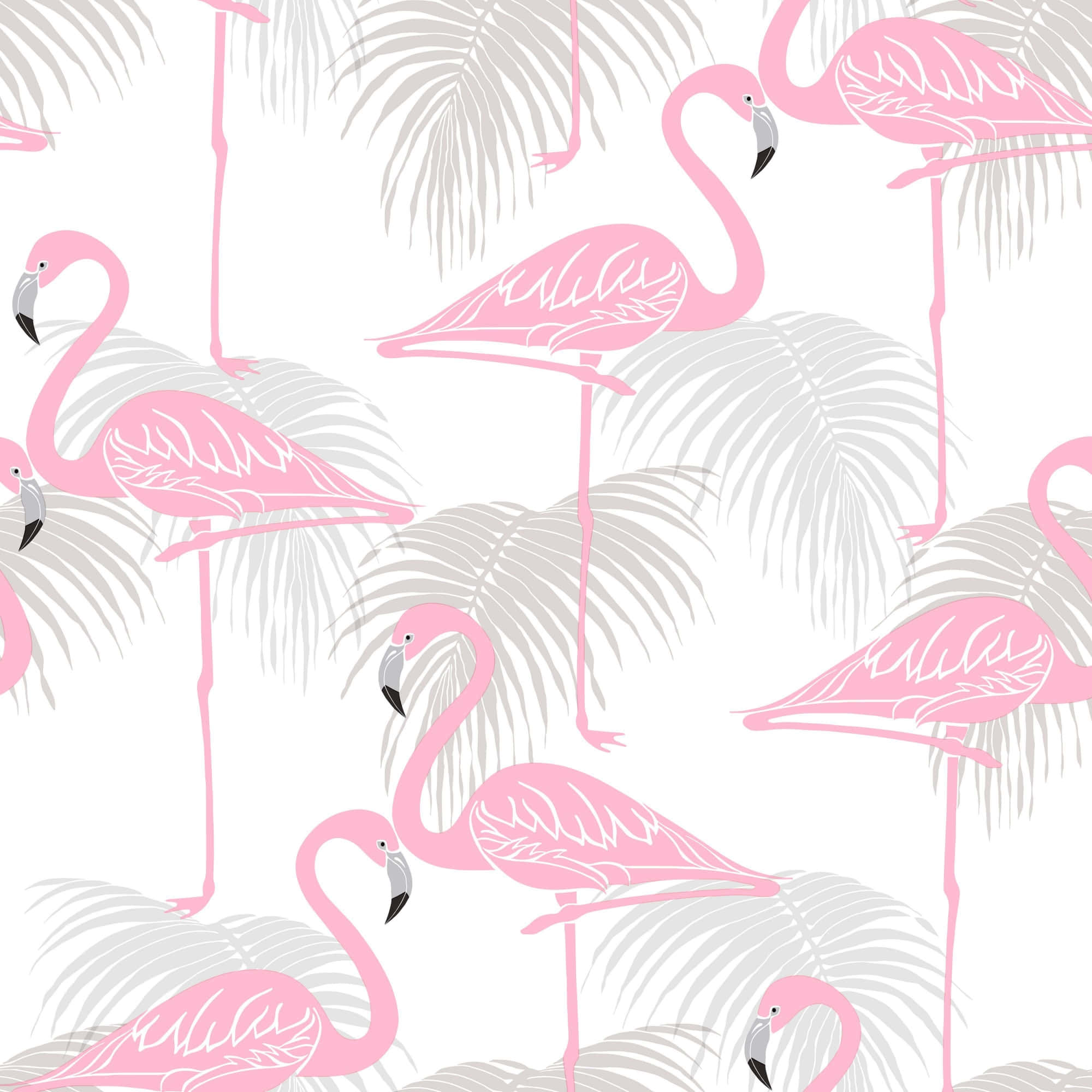 Pink Flamingos 桌布 壁紙 — 粉紅色火烈鳥在灰色棕櫚葉間優雅地站立，在潔白背景上形成重複圖案。