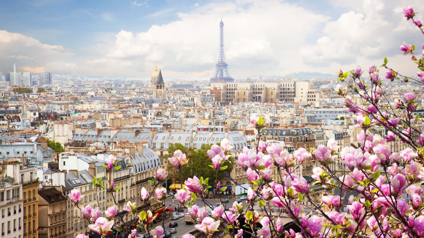 french 桌布 壁紙 — 粉紅色的木蘭花框住了巴黎的全景，艾菲爾鐵塔在部分多雲的天空下從歷史屋頂上方升起。