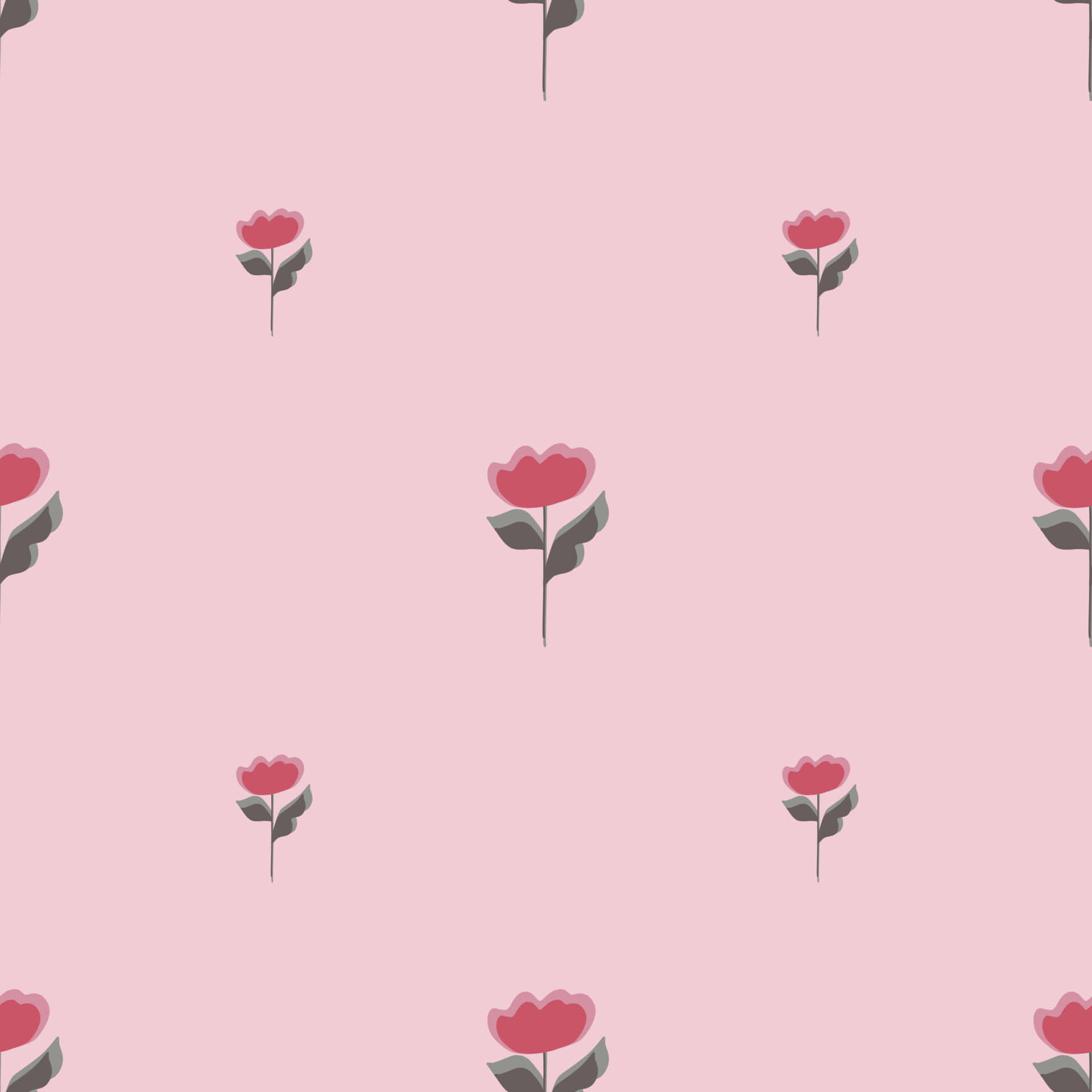 Cute Flower 桌布 壁紙 — 粉紅色背景，散落著極簡風格的紅色鬱金香插圖和灰色葉子。