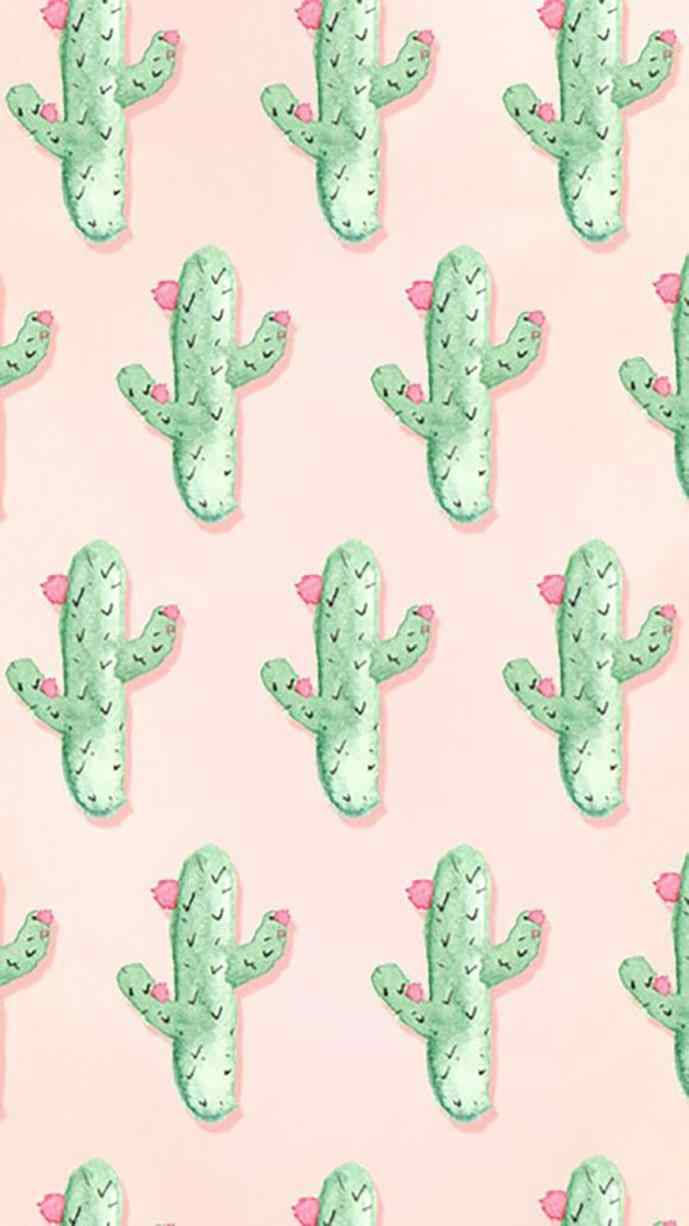 cute iPhone lock screen 桌布 壁紙 — 粉紅色背景上裝飾著重複的可愛綠色仙人掌，每個仙人掌頂部都有細小的粉紅色花朵。