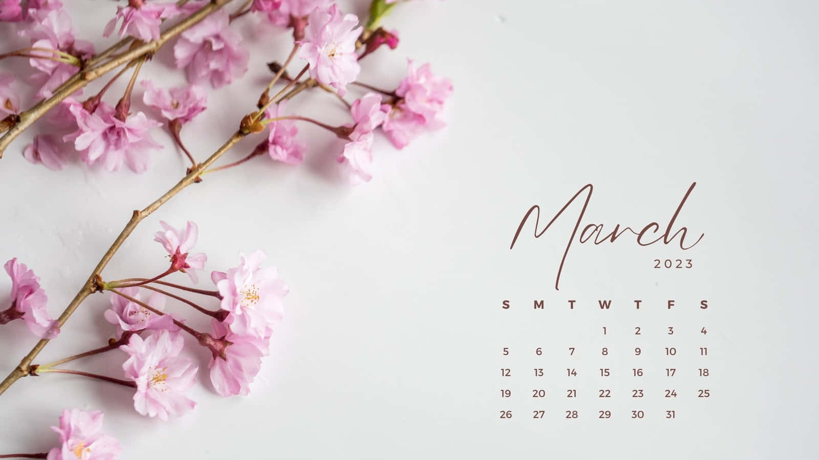 粉紅色花朵月曆，寫有March字樣 壁紙