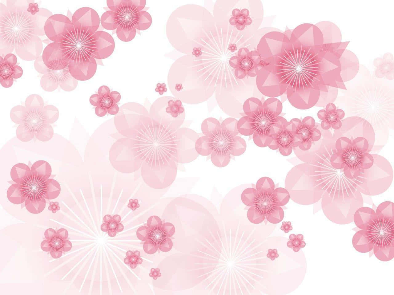 粉紅色花朵背景配白色花朵 壁紙
