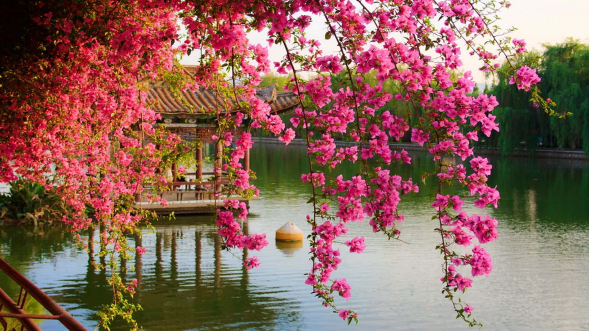 中國背景