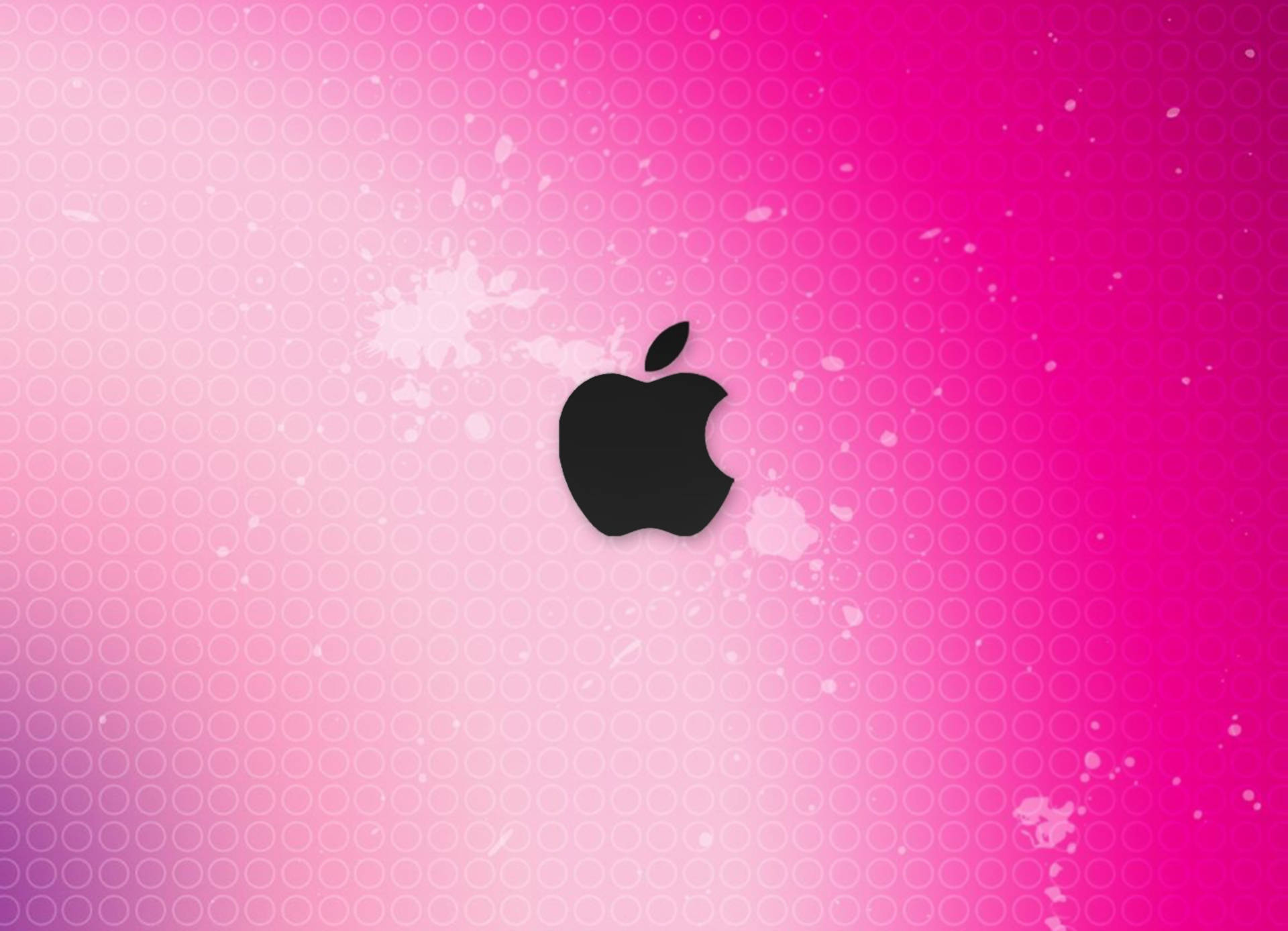 粉紅色漸變上的黑色Apple標誌，帶圓形圖案和白色潑濺。