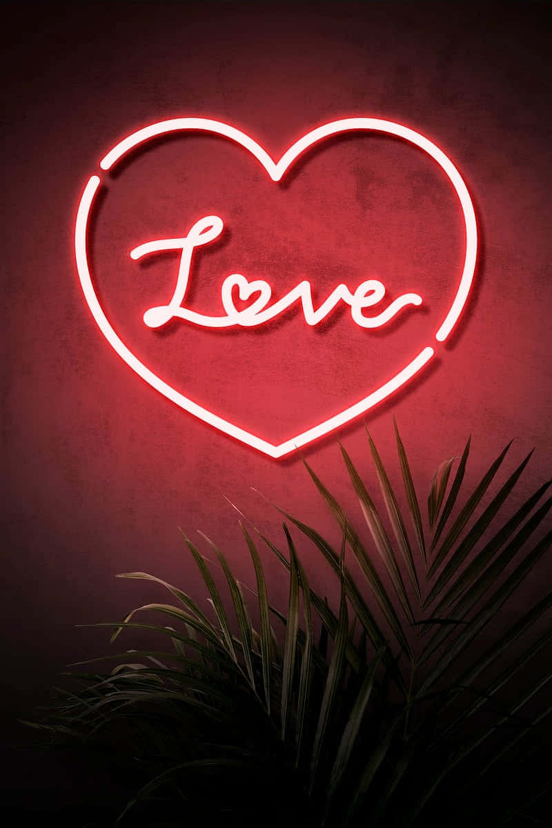 霓虹心形標誌，love 字樣發出紅光，位於棕櫚葉上方。