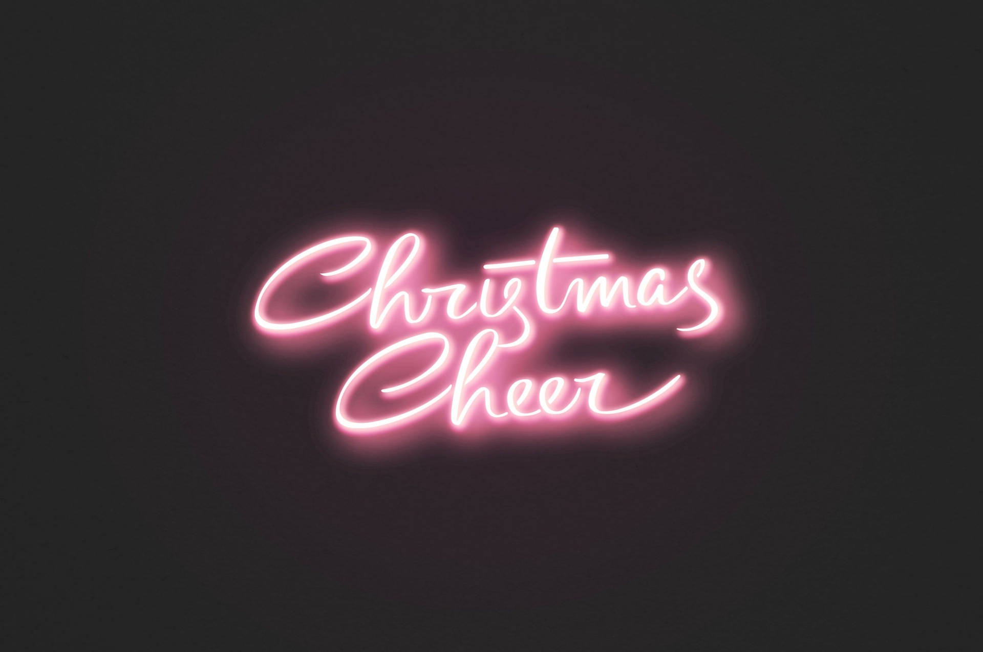 在黑暗背景上寫有 Christmas Cheer 的粉紅色霓虹燈牌