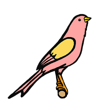 粉紅鳥類插畫 壁紙