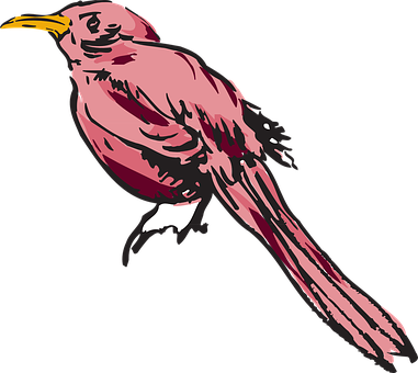 粉紅鳥類插畫 壁紙