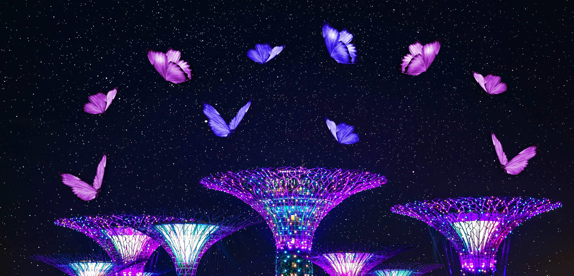星空下發光的超級樹和蝴蝶。
