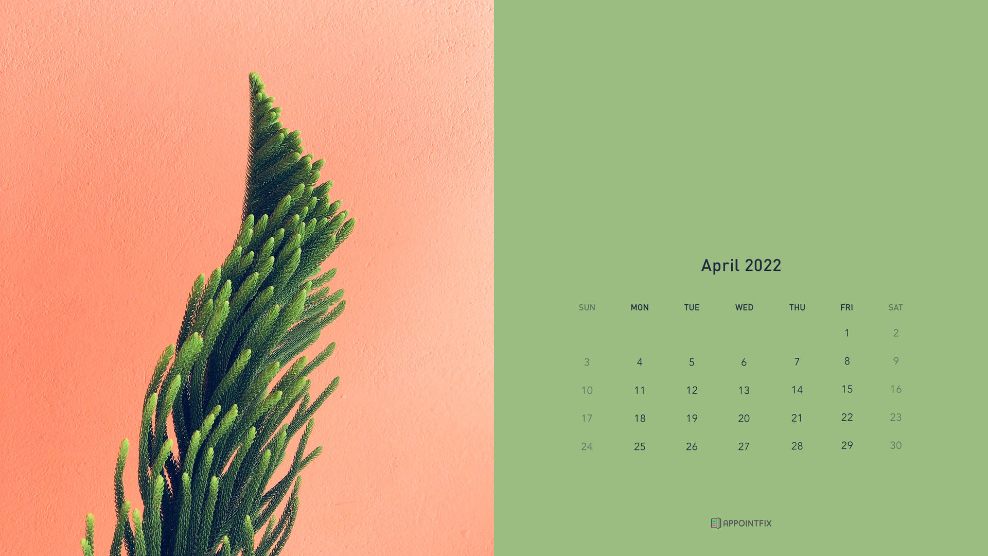 簡約的2022年4月日曆，在珊瑚色和鼠尾草綠色背景上有一棵綠色植物。