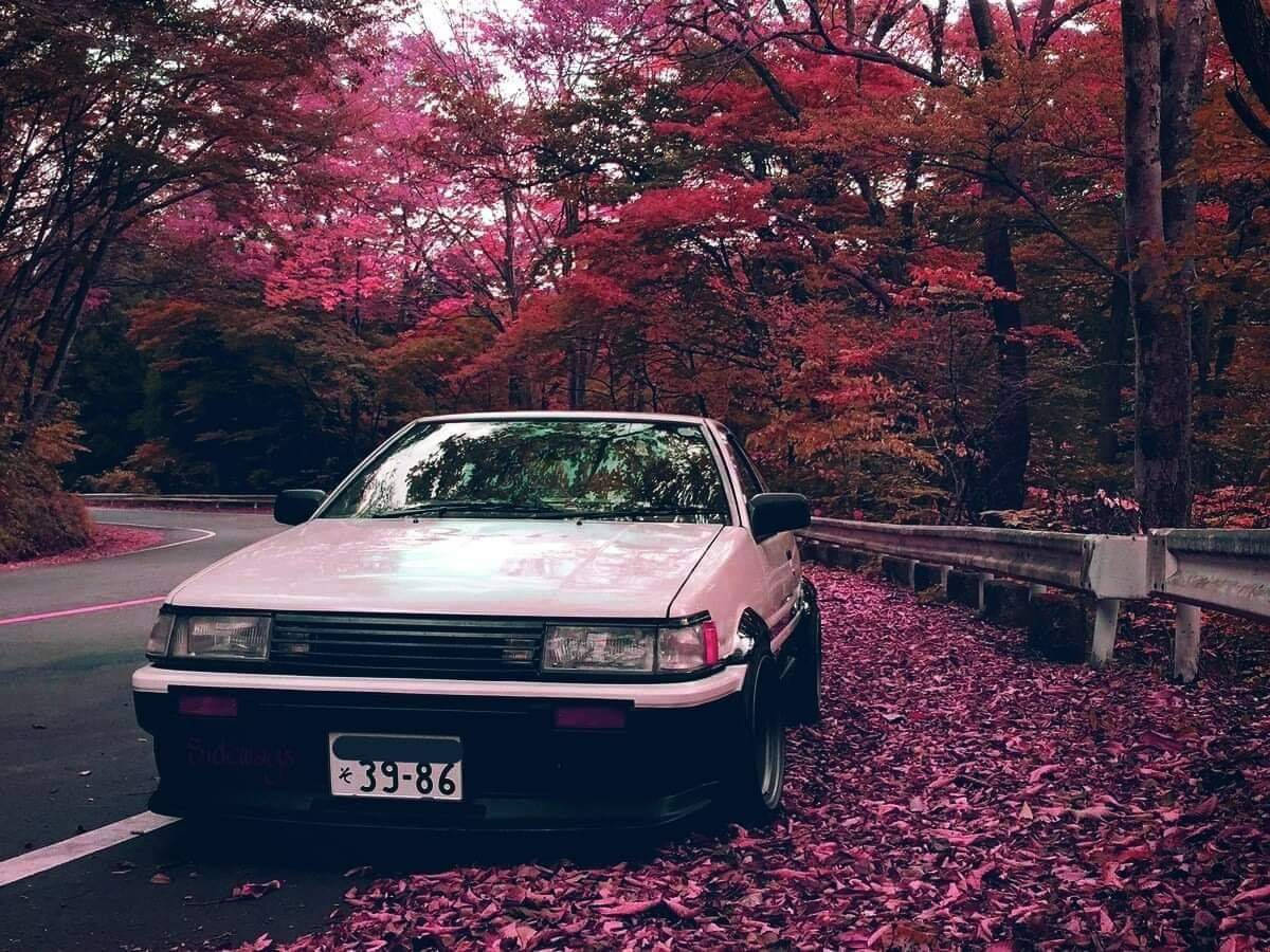 白色復古車停泊在鋪滿粉紅色葉子的秋日道路上。