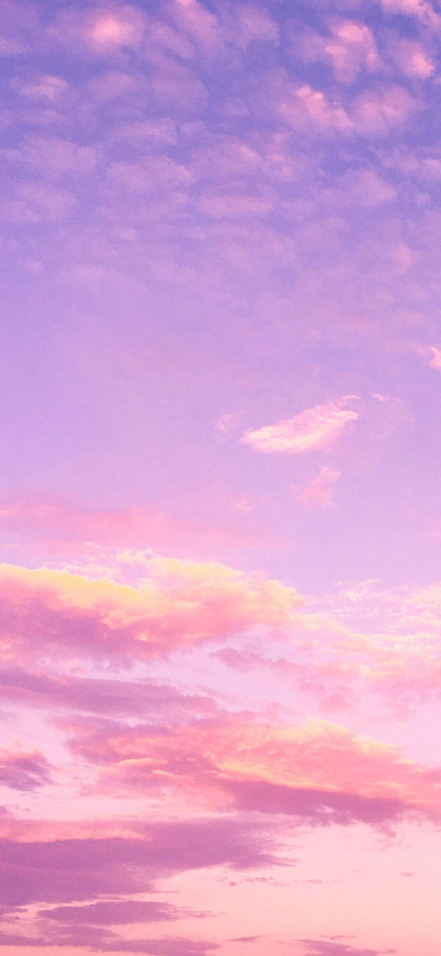 粉紅色和紫色的雲彩在暮色天空中發光。