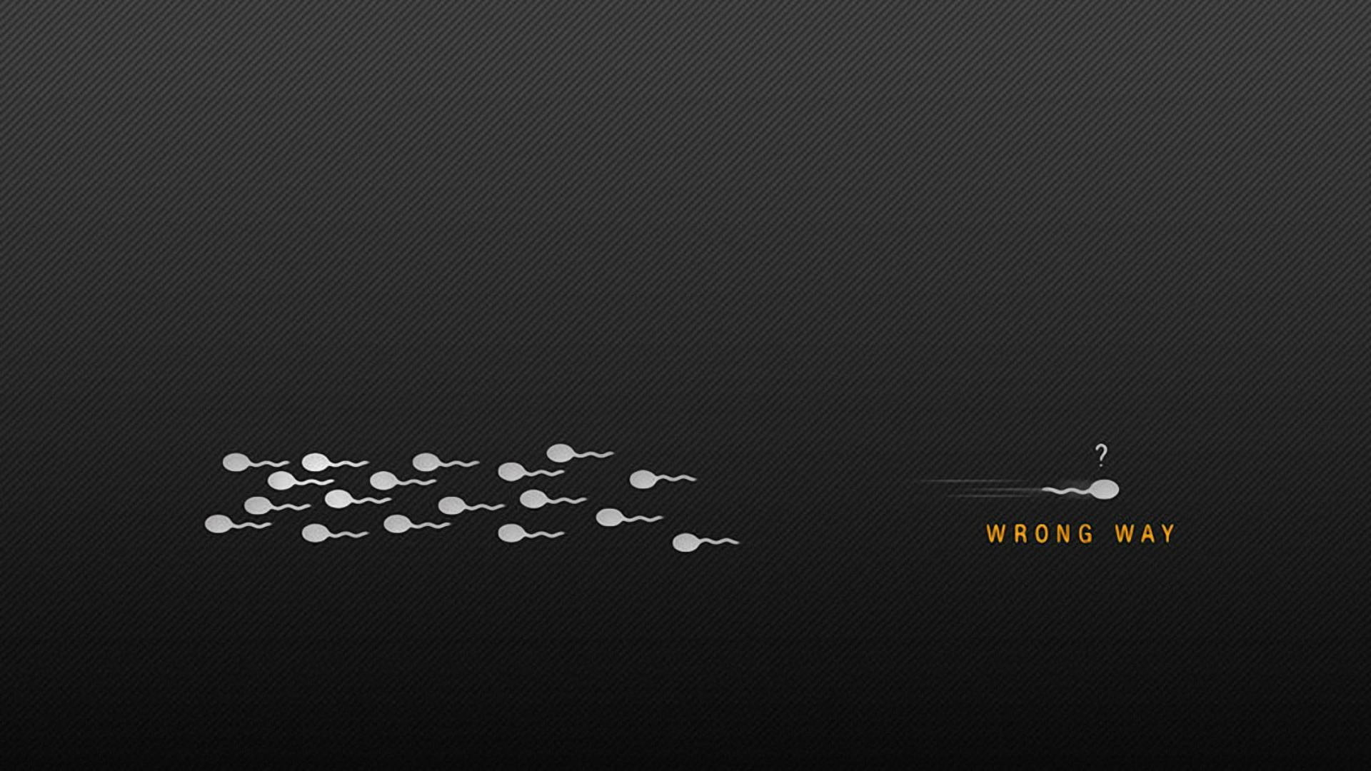 精子細胞向左游，其中一個向右游並標示為「wrong way」。