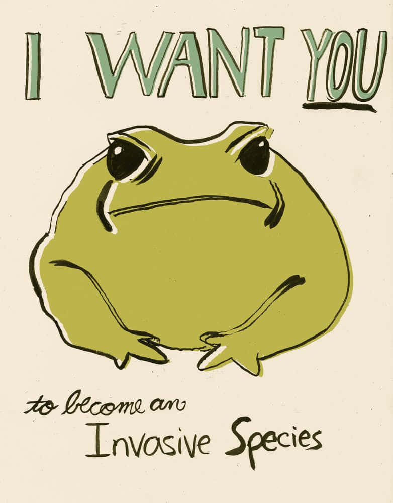 悲傷的綠色青蛙插圖，附有文字「I WANT YOU to become an Invasive Species」。