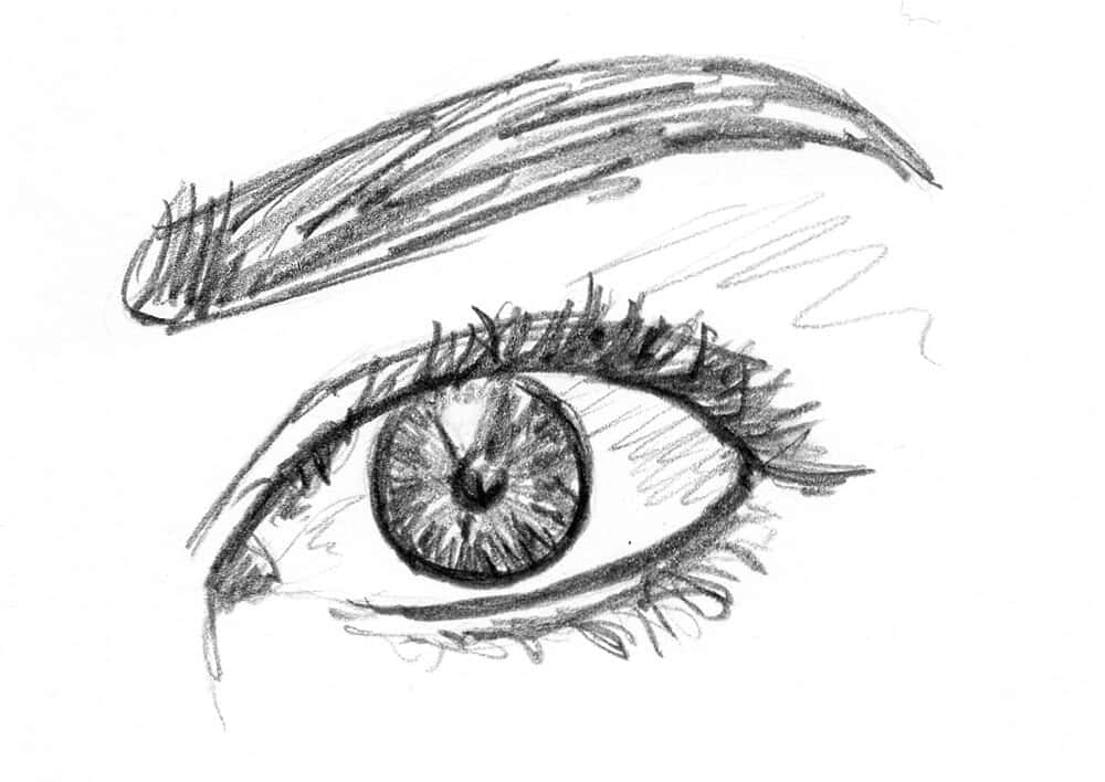 精緻單色樹木素描 壁紙 — 一幅詳細的鉛筆素描，描繪一隻人類眼睛，帶有富表現力的睫毛和紋理分明的虹膜，背景為純白色。