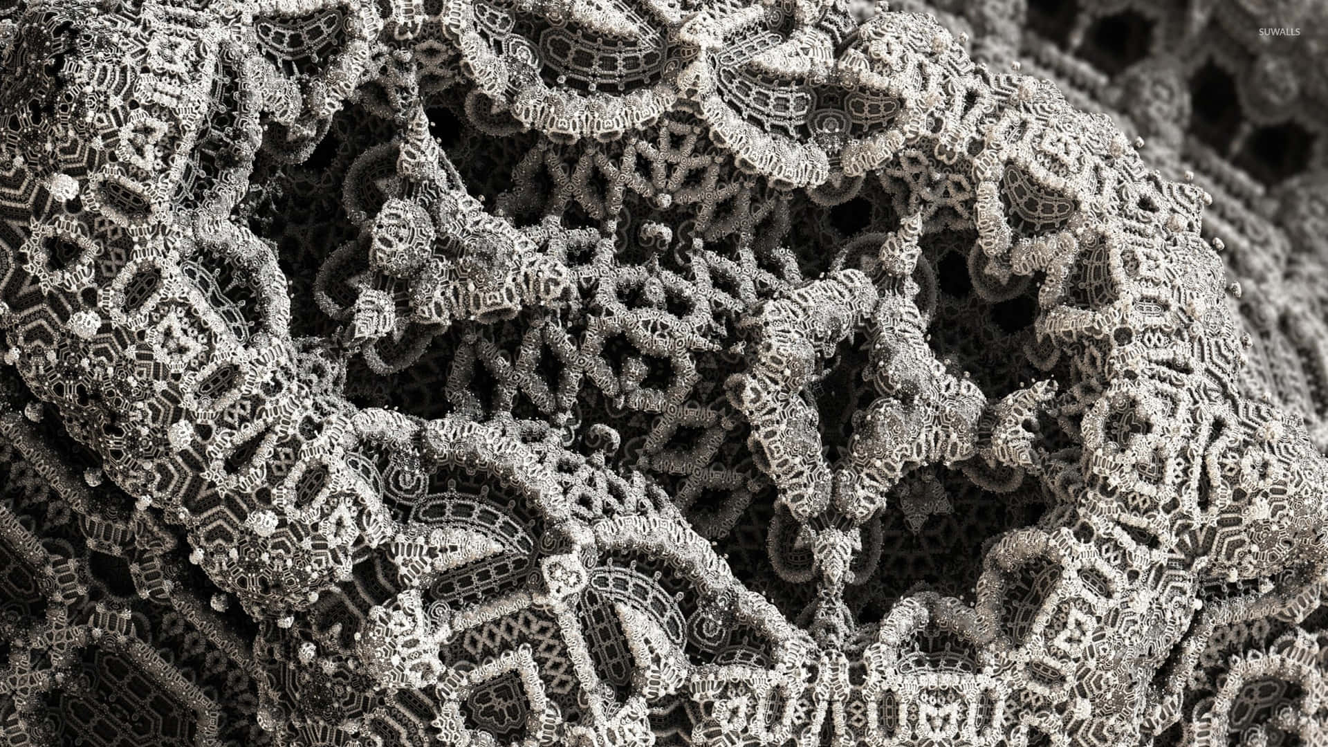 Lace 桌布 壁紙 — 精緻單色蕾絲的特寫，帶有細緻的花卉和幾何圖案，呈現柔和灰階色調。