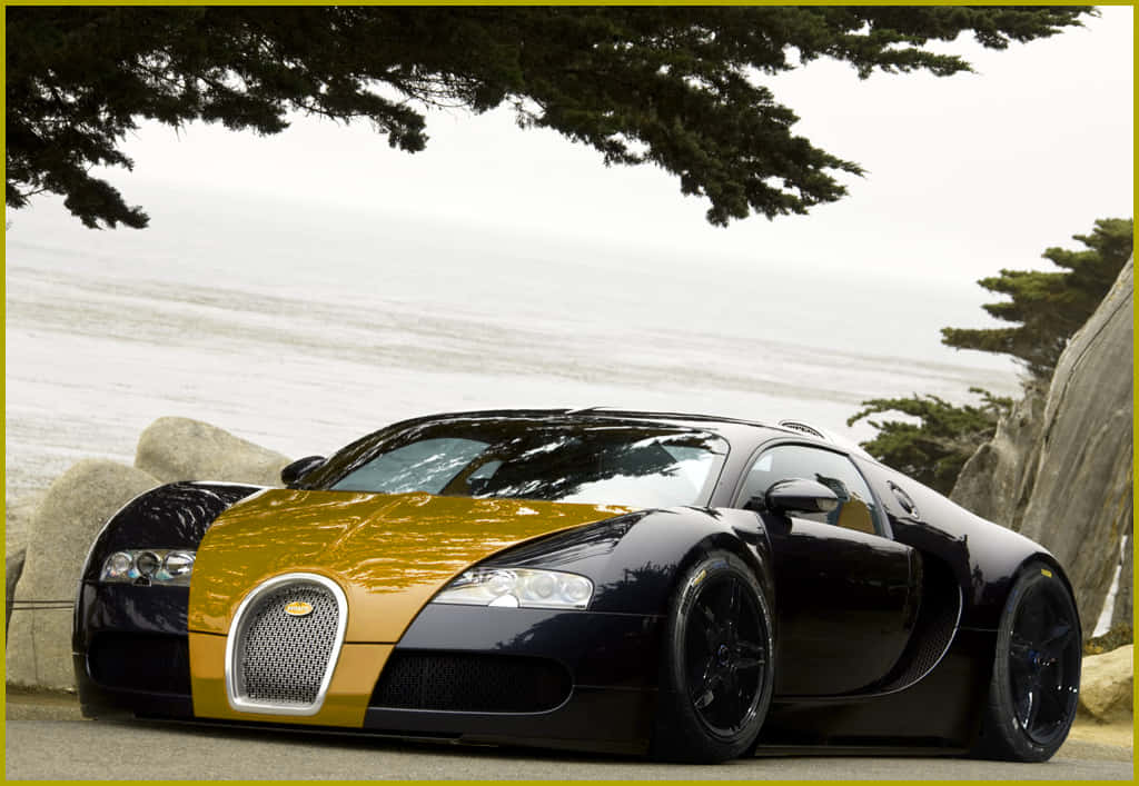 黑色和金色的Bugatti Veyron停泊在樹枝下的海邊。