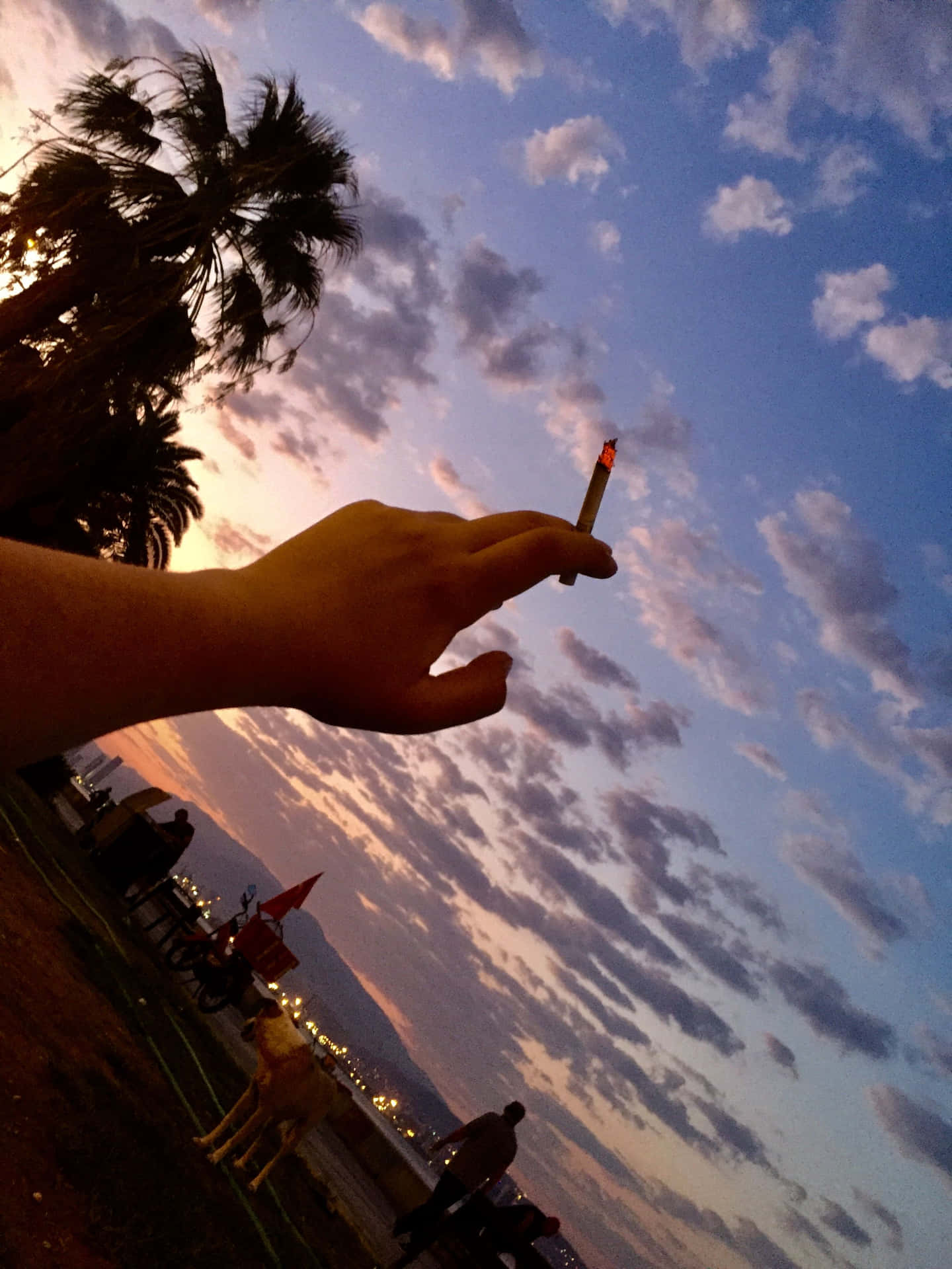 日落海灘上，手拿點燃的香煙，背景有棕櫚樹和城市燈光。