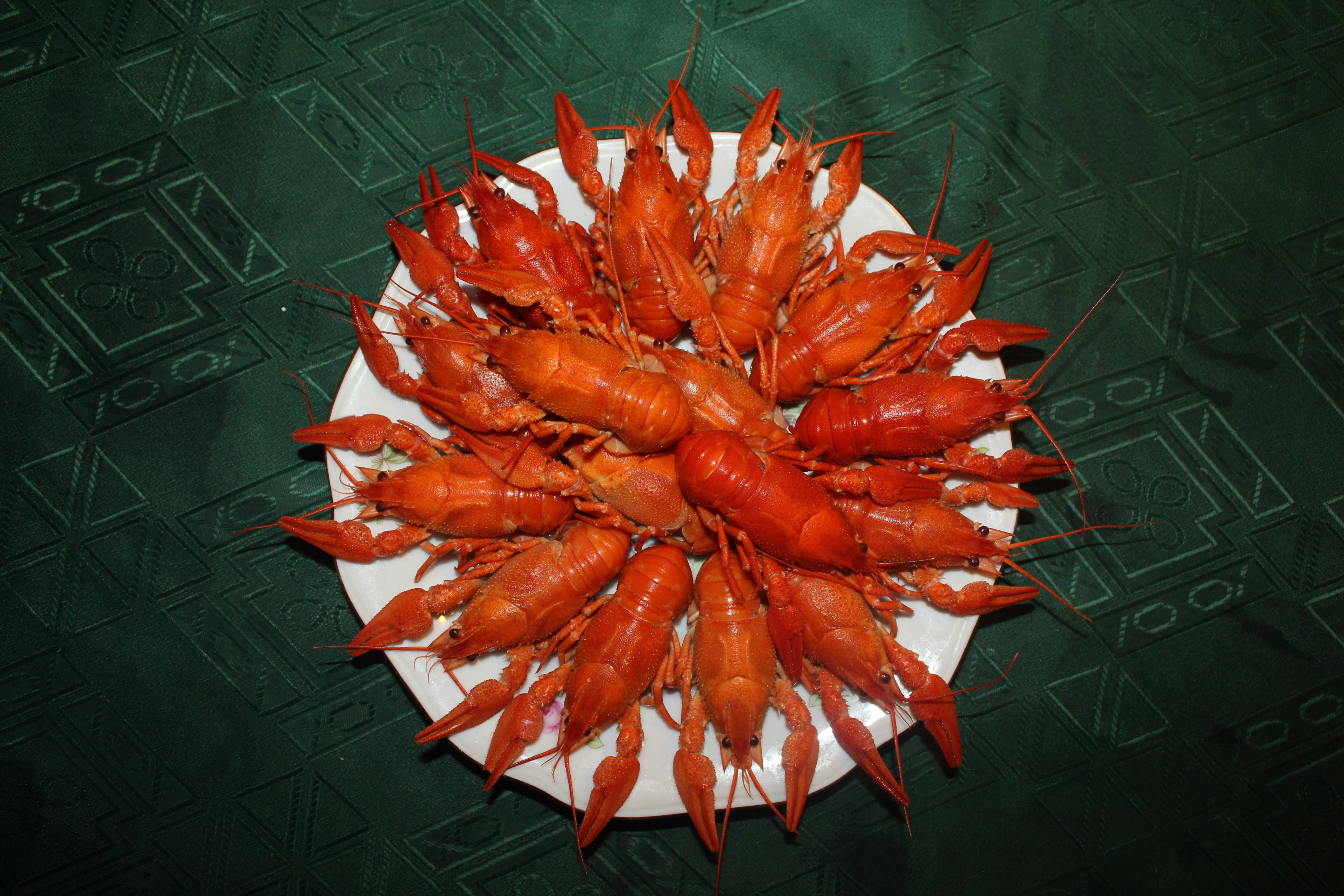 精緻擺盤的高級螯蝦料理 壁紙 — 一個白色碟子堆滿鮮紅色熟龍蝦，放在深綠色圖案枱布上。