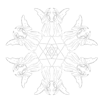精緻曼陀羅圖案 壁紙