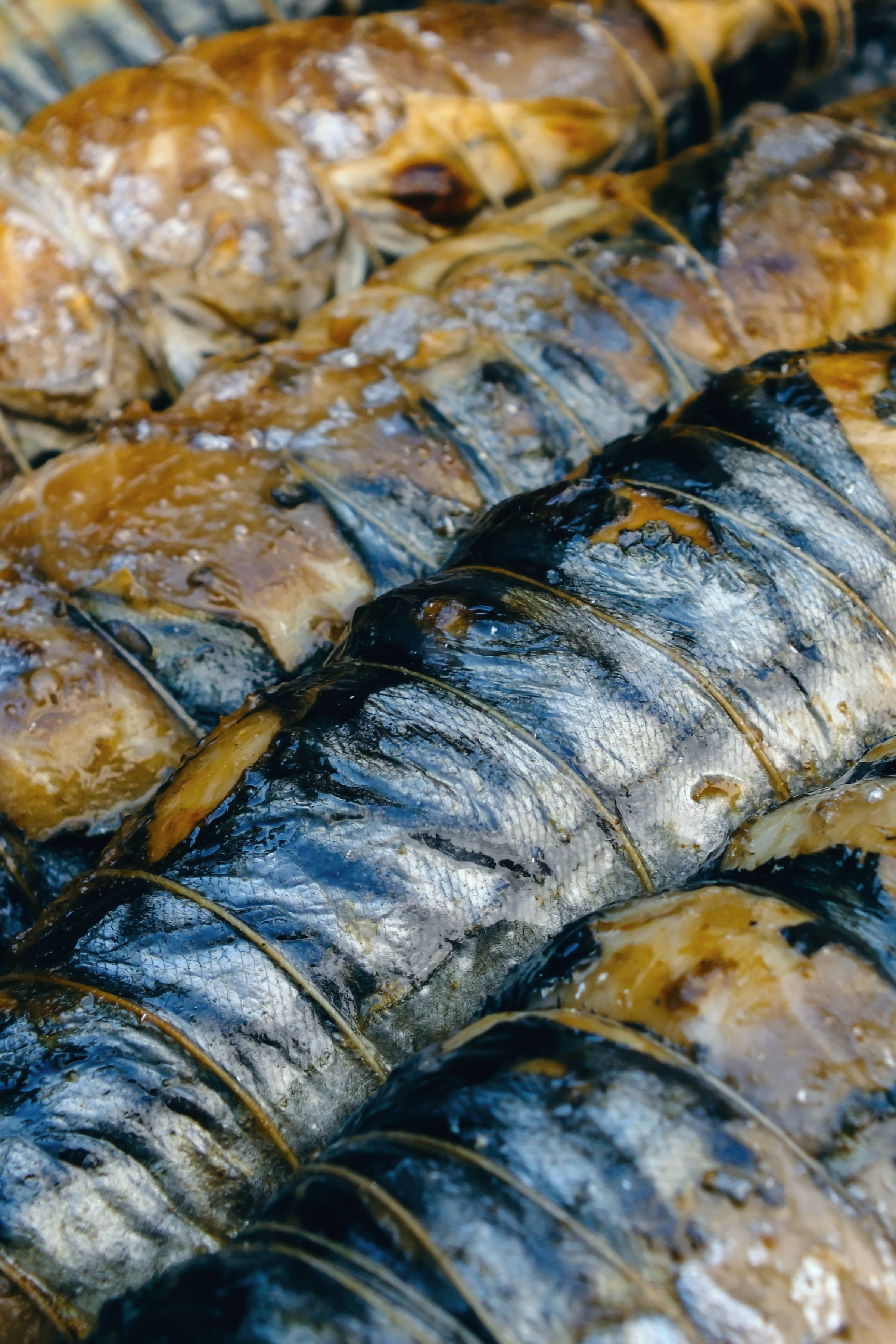 精緻烤鰹魚 壁紙 — 燒烤魚的特寫，魚皮焦黑，油脂在烤架上閃閃發光。