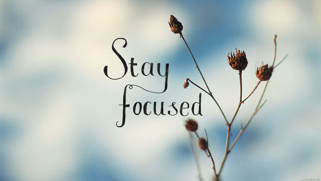 Focus 桌布 壁紙 — 精緻的乾花莖框住優雅的草書文字，上面寫著「Stay focused」，背景是柔和的藍天。
