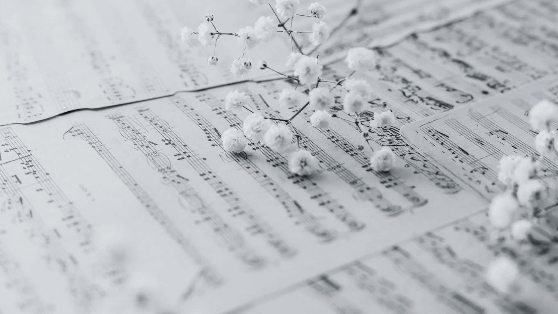 Black And White Music 桌布 壁紙 — 精緻的滿天星花朵輕輕地躺在散落的復古樂譜上，以單色調呈現。