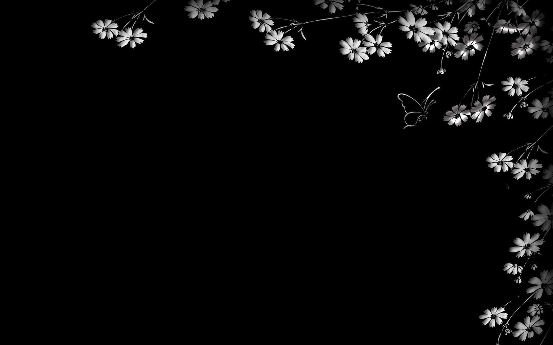 白色花卉邊框，蝴蝶點綴，黑色背景 — 唯美蝴蝶動圖 壁紙