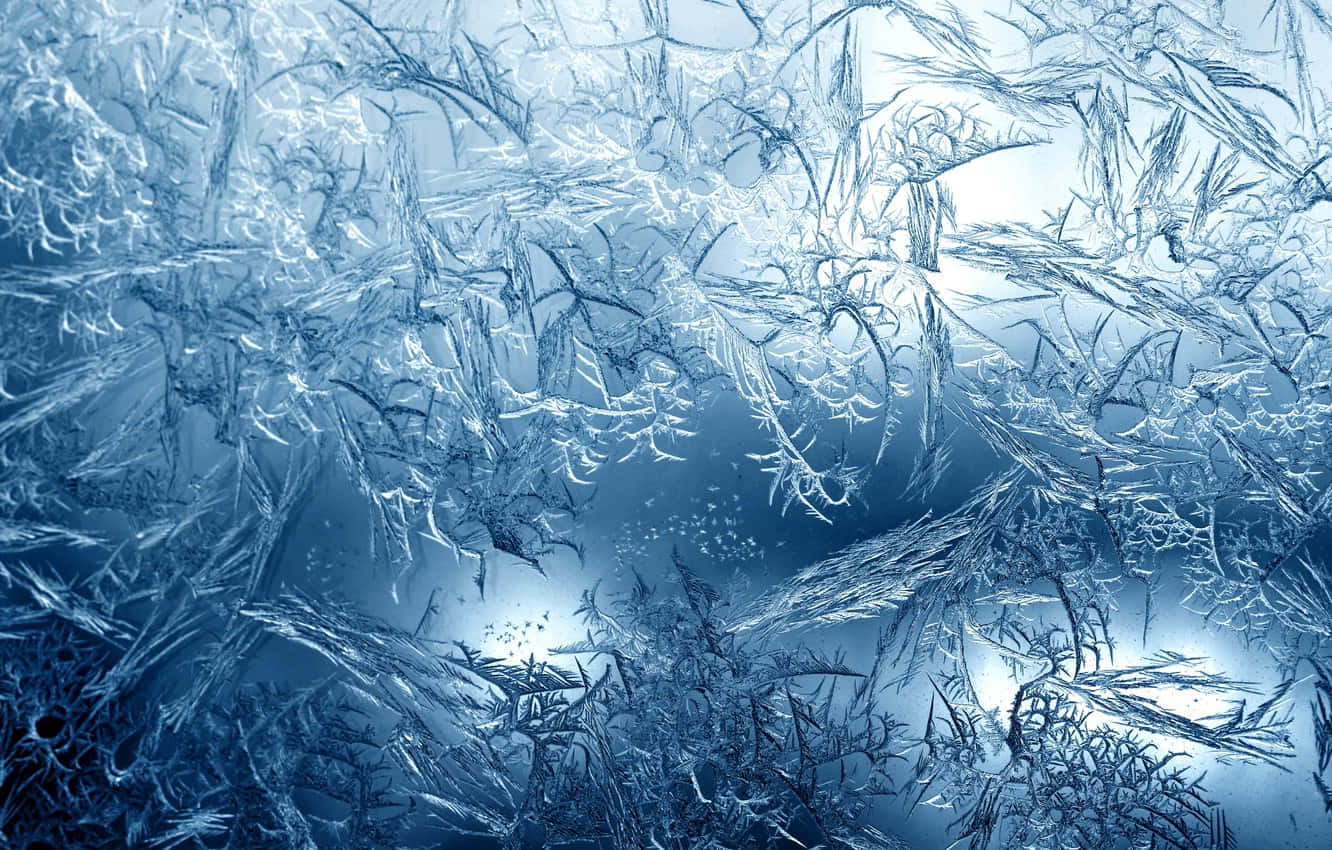 Frost 桌布 壁紙 — 精緻的藍色冰晶在窗玻璃上形成複雜的霜花圖案，並在柔和背光下閃耀。