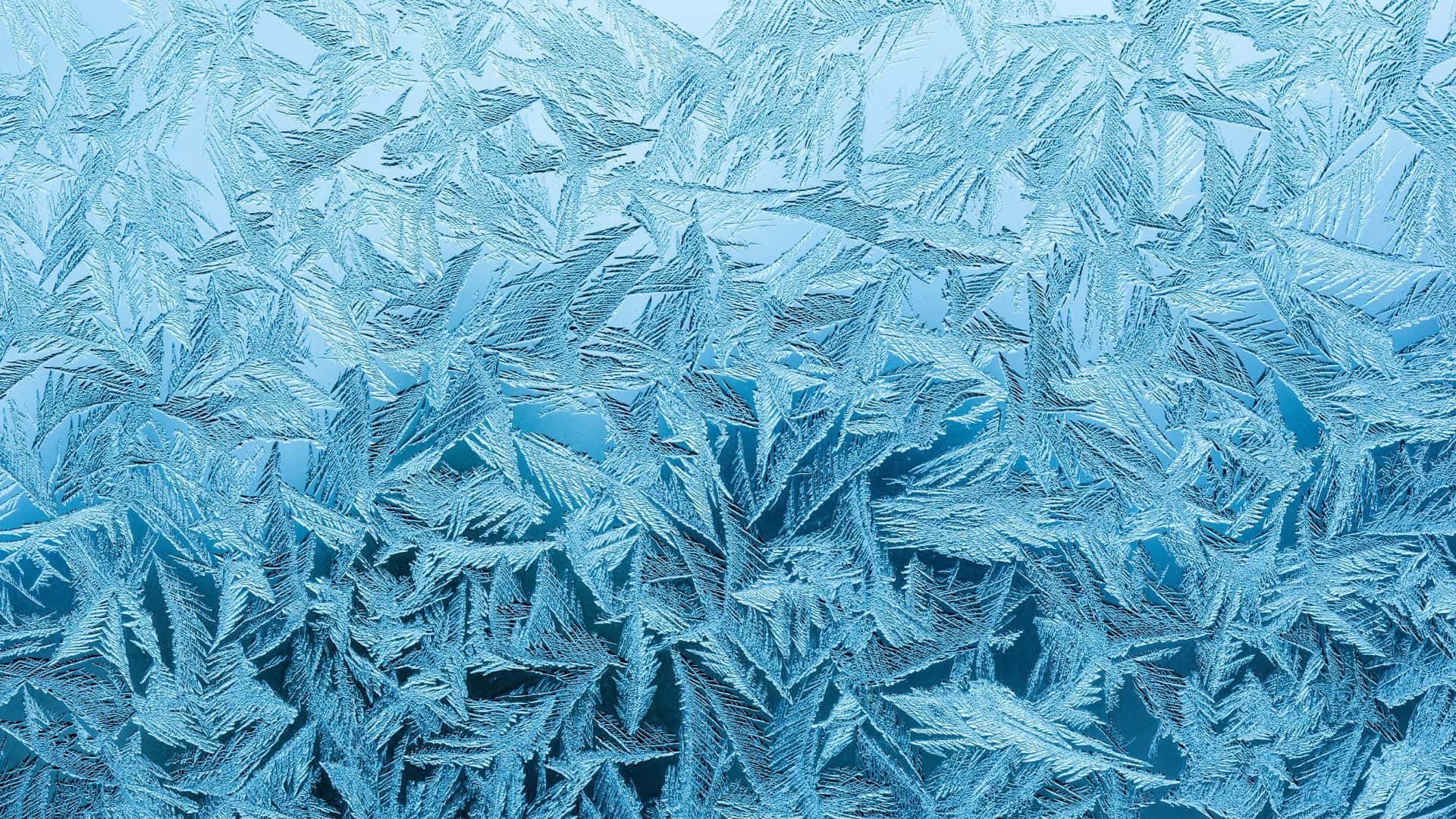 Frost 桌布 壁紙 — 精緻的藍色霜晶在寒冷的冬季場景中，在玻璃表面形成複雜的羽毛狀圖案。