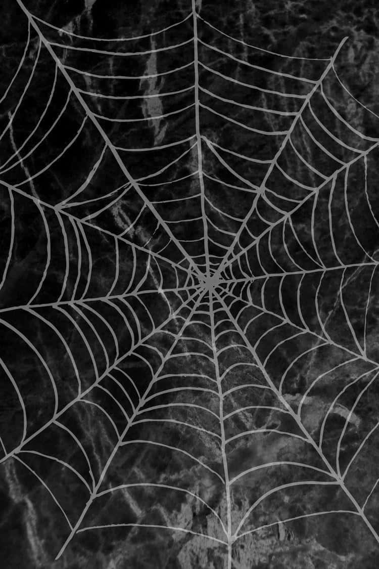web 桌布 壁紙 — 精緻的蜘蛛網在帶有紋理的深灰色背景上發出純白色光芒，營造出令人難忘的美麗對比。
