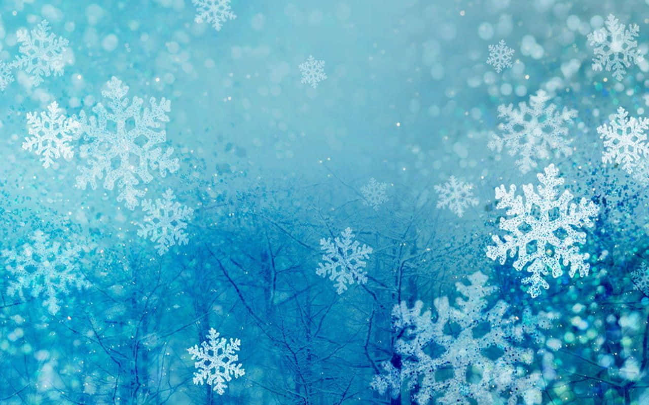 Winter Holiday 桌布 壁紙 — 精緻的雪花在光禿禿的樹枝上飄過柔和的藍色冬日薄霧。